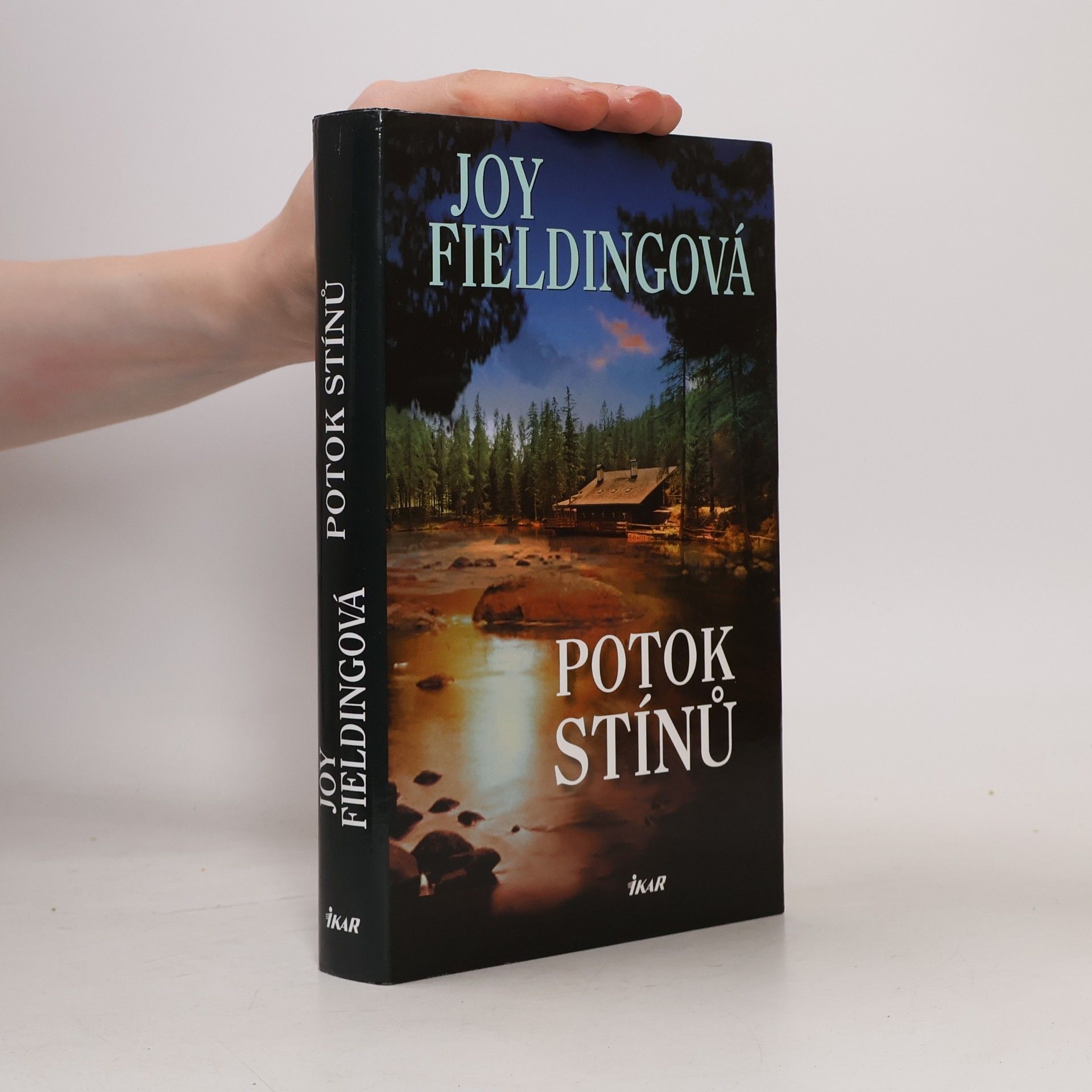 Joy Fielding Potok stínů