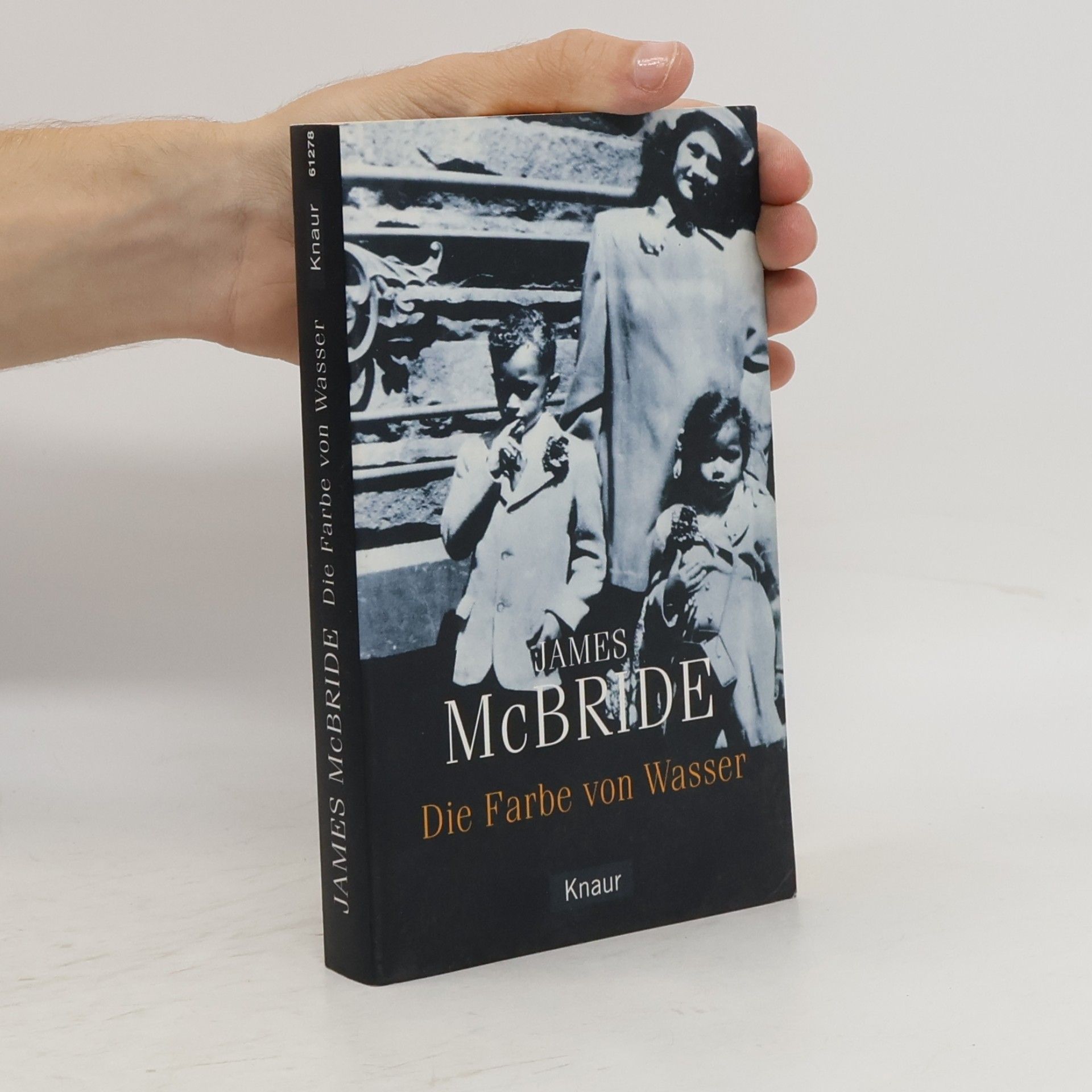 James McBride Die Farbe von Wasser