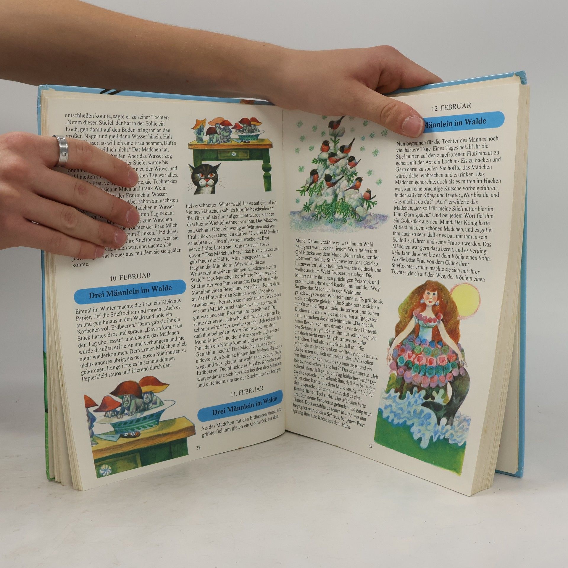 Autores varios Märchen für 365 Tage des Jahres