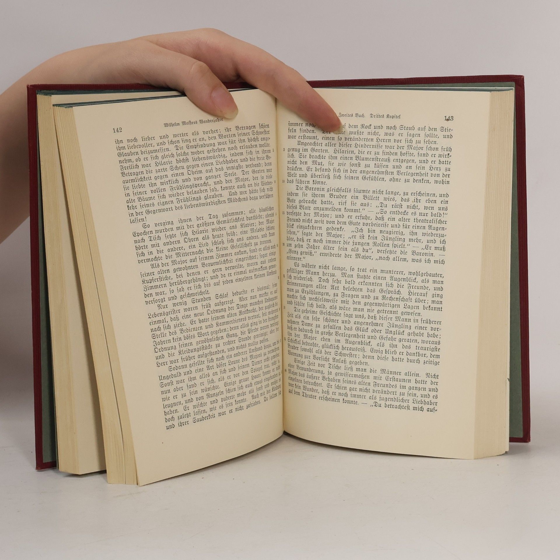 Johann Wolfgang von Goethe Goethes Werke 12-13