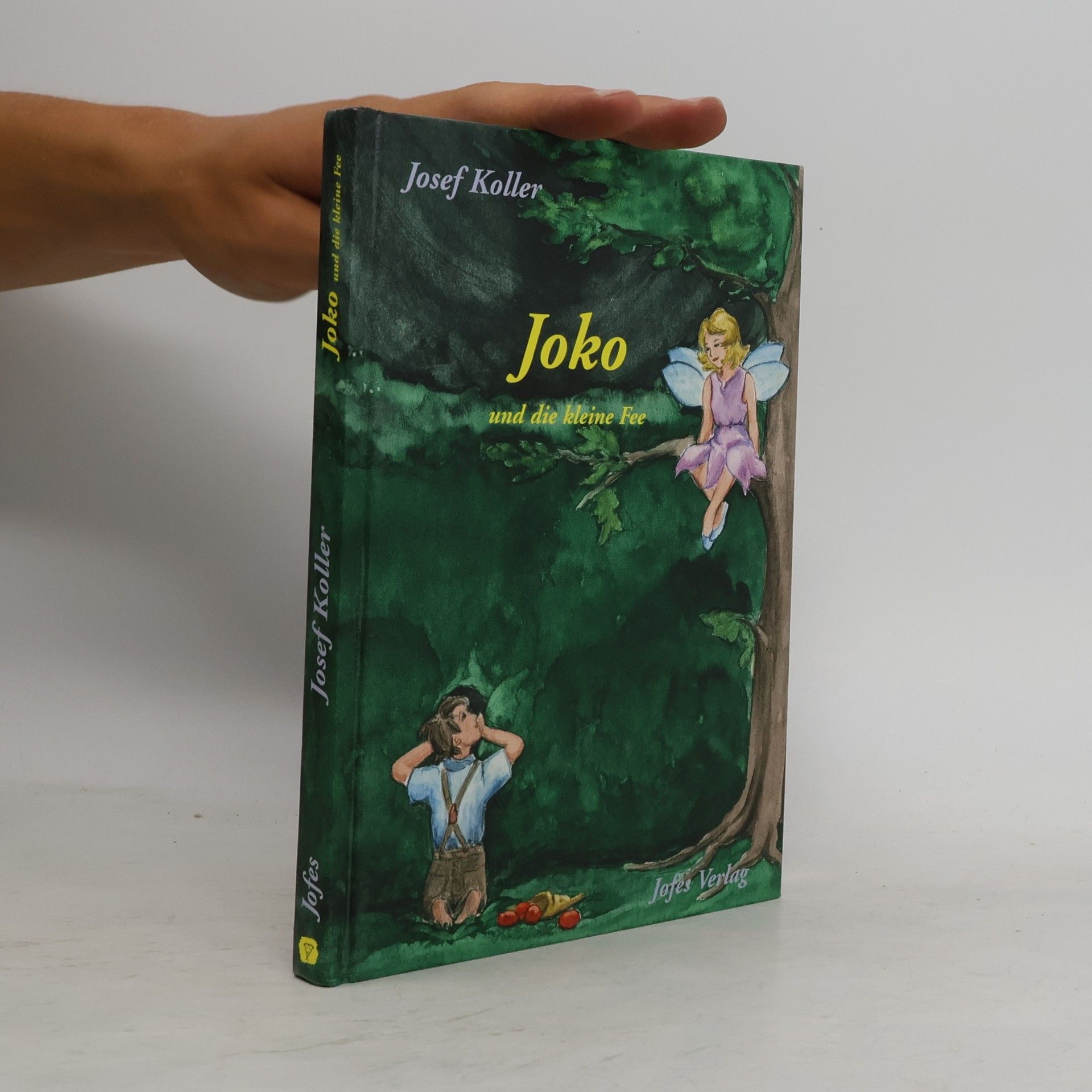 Josef Koller Joko und die kleine Fee