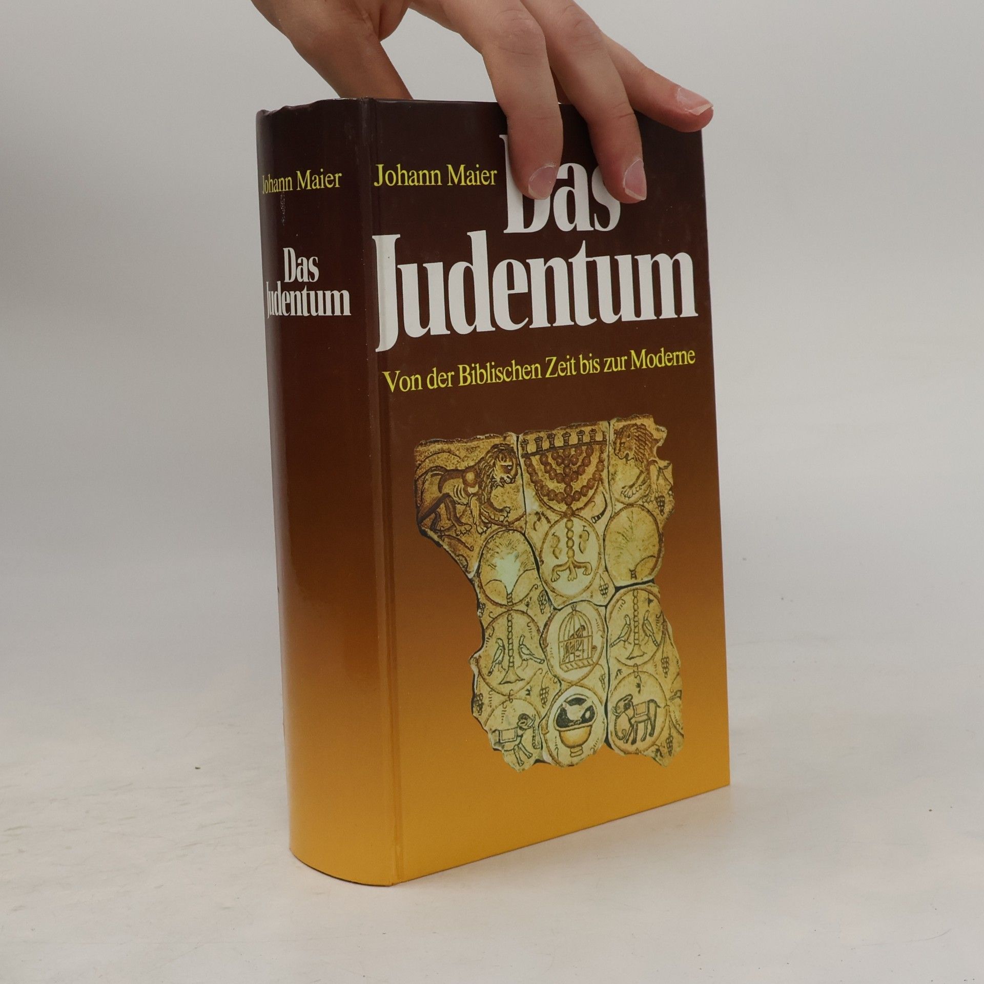 Johann Maier Das Judentum