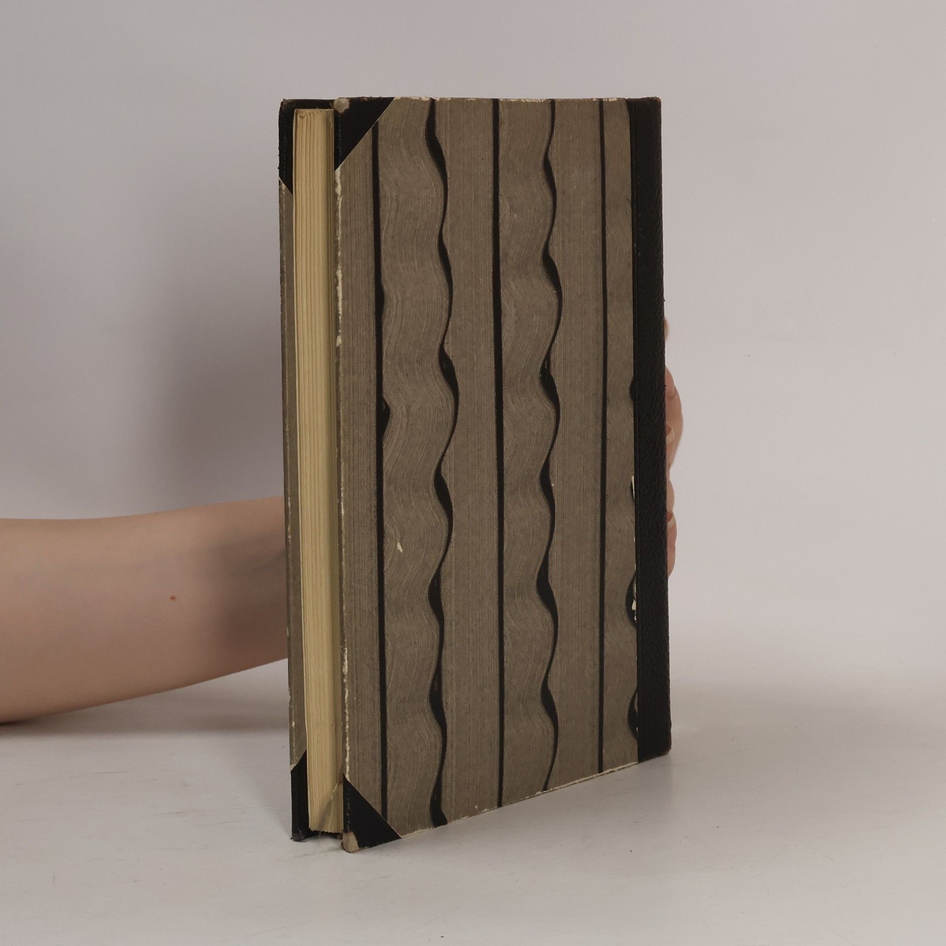 Anton Wildgans Gesammelte Werke 2