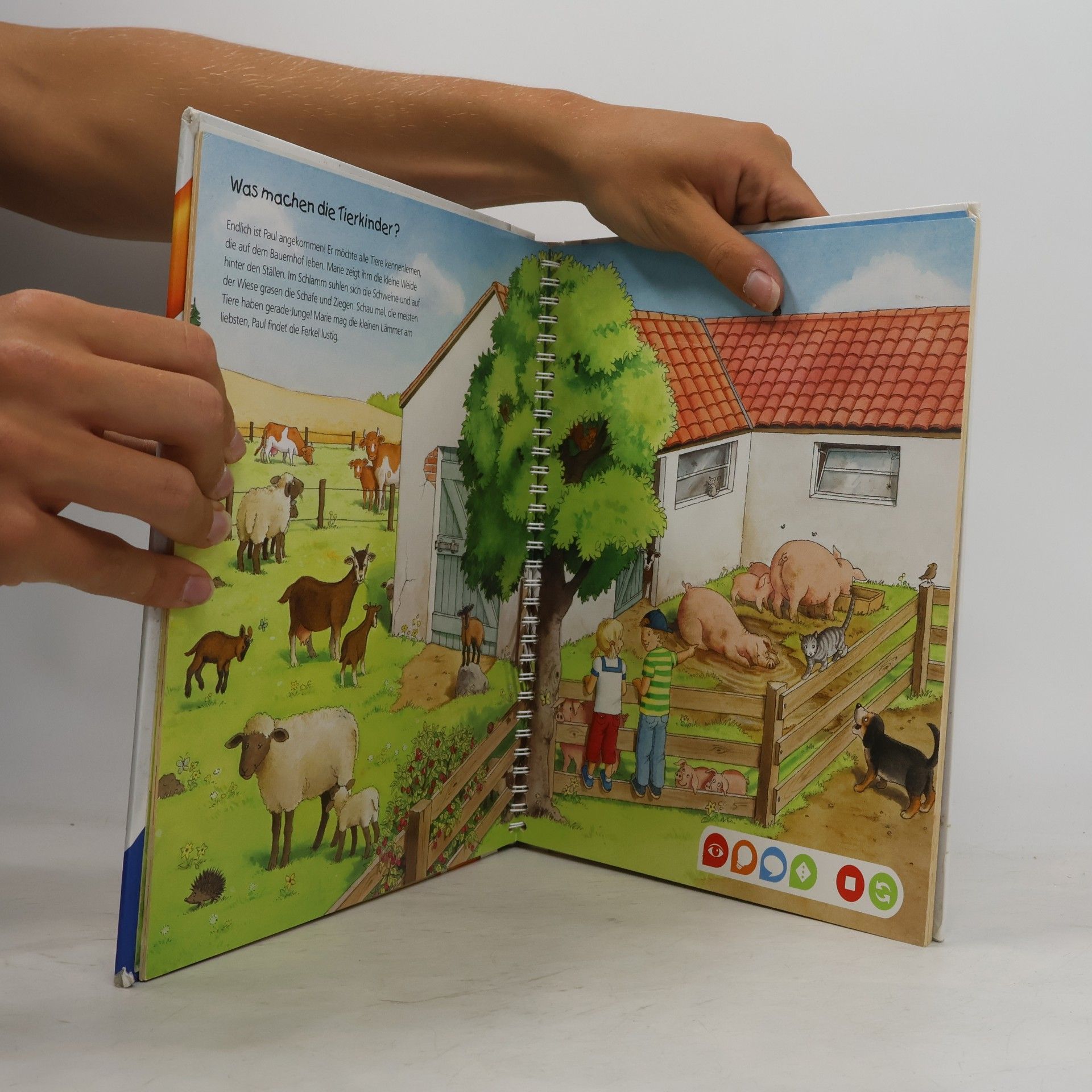 Inka Friese Entdecke den Bauernhof