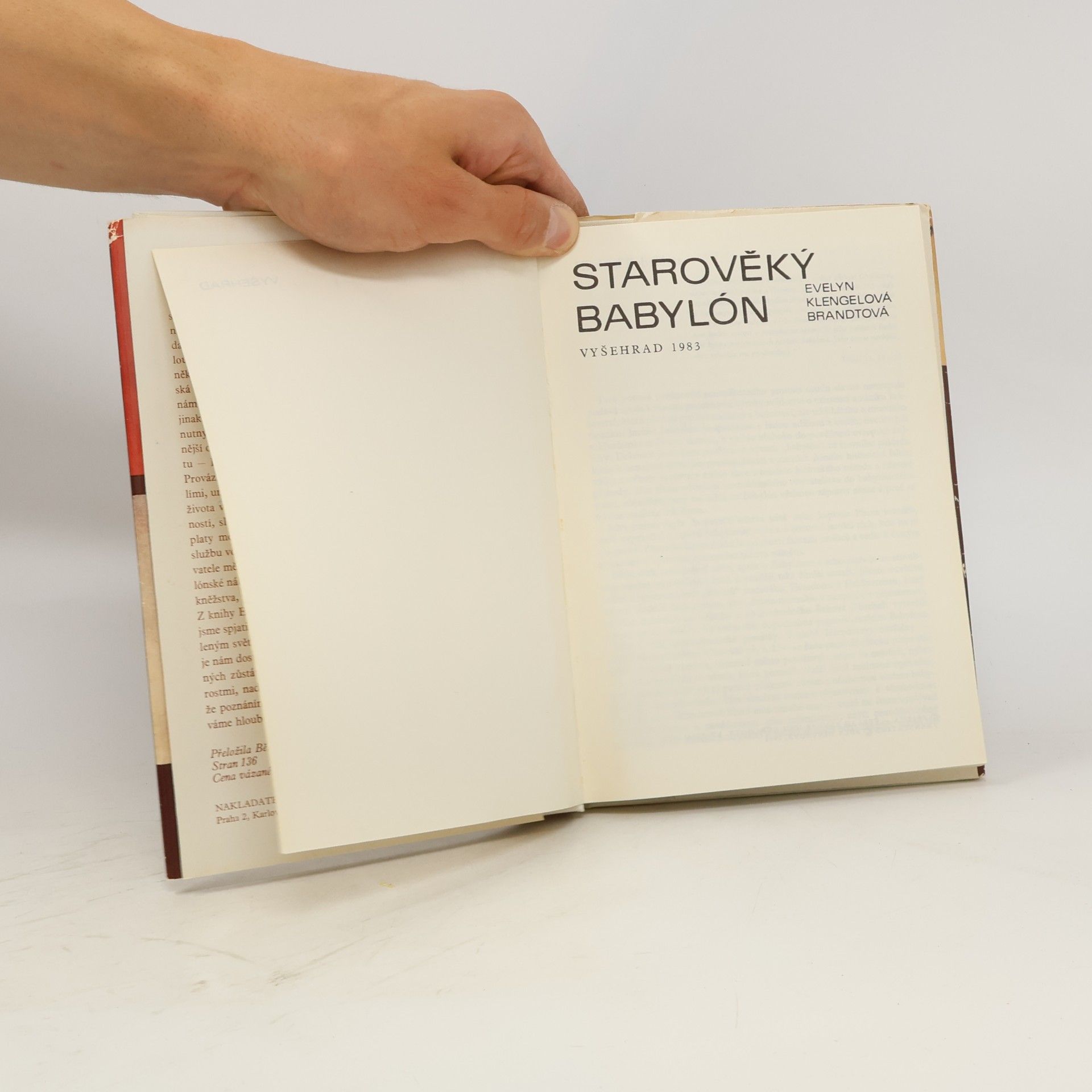 Evelyn Klengel-Brandt Starověký Babylón