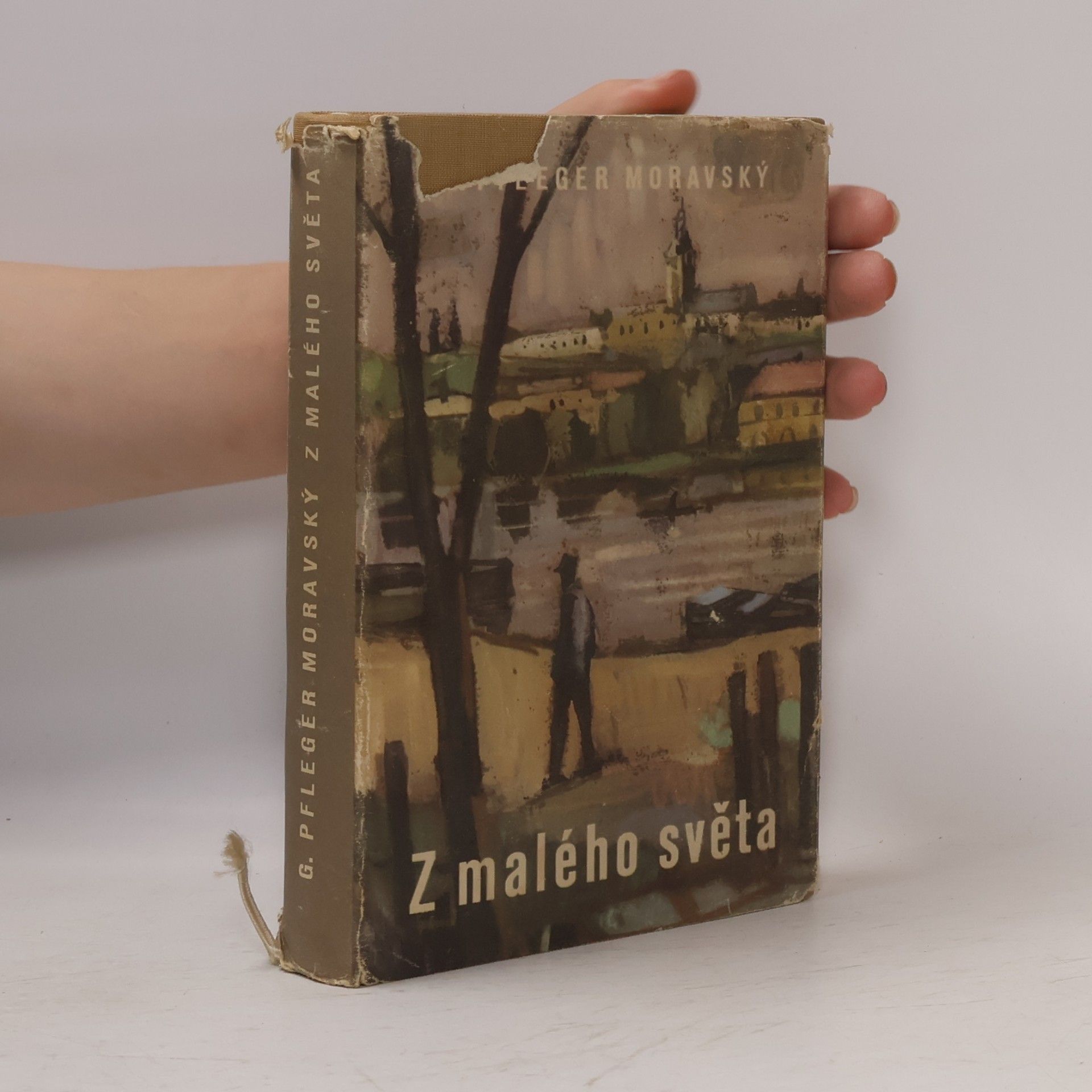 Z malého světa