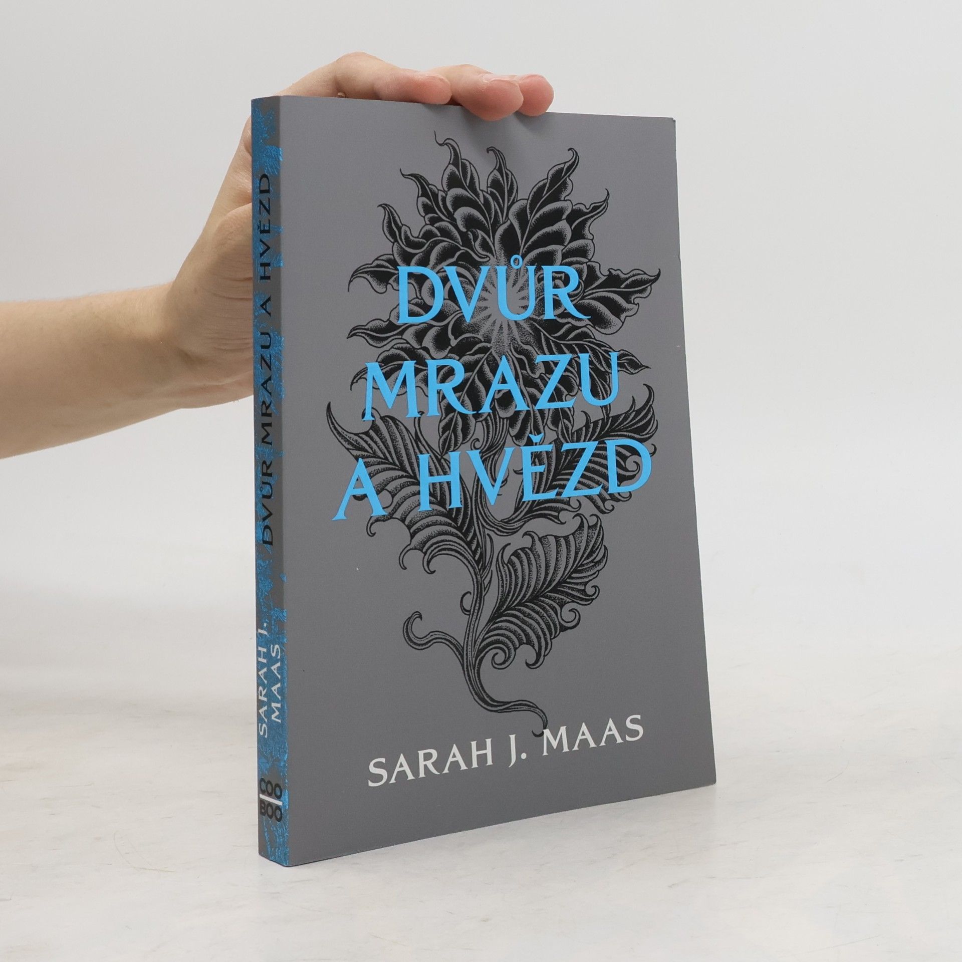 Sarah J. Maas Dvůr mrazu a hvězd
