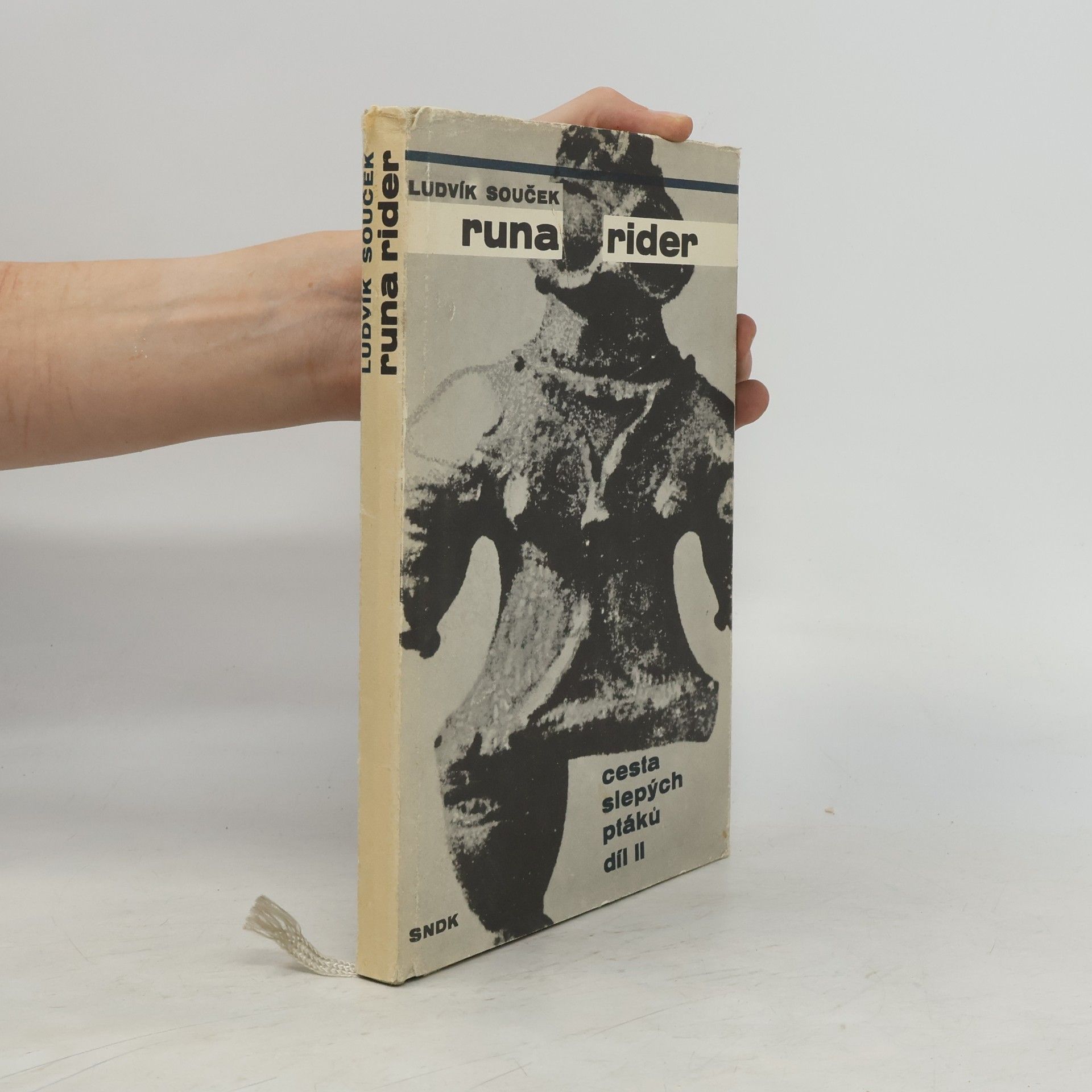 Ludvík Souček Runa rider. Cesta slepých ptáků 2