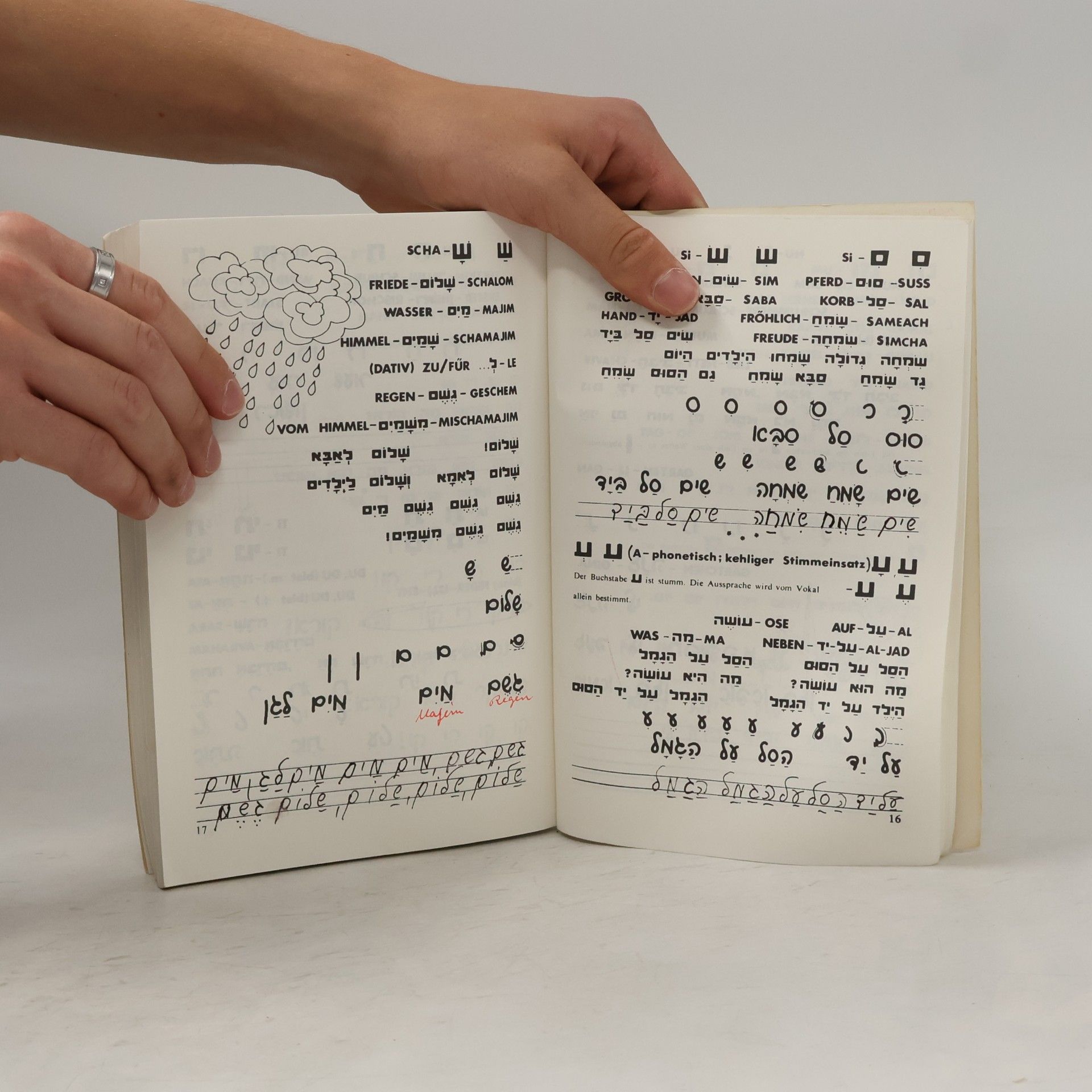 Aharon Rosen Tausend Worte Hebräisch