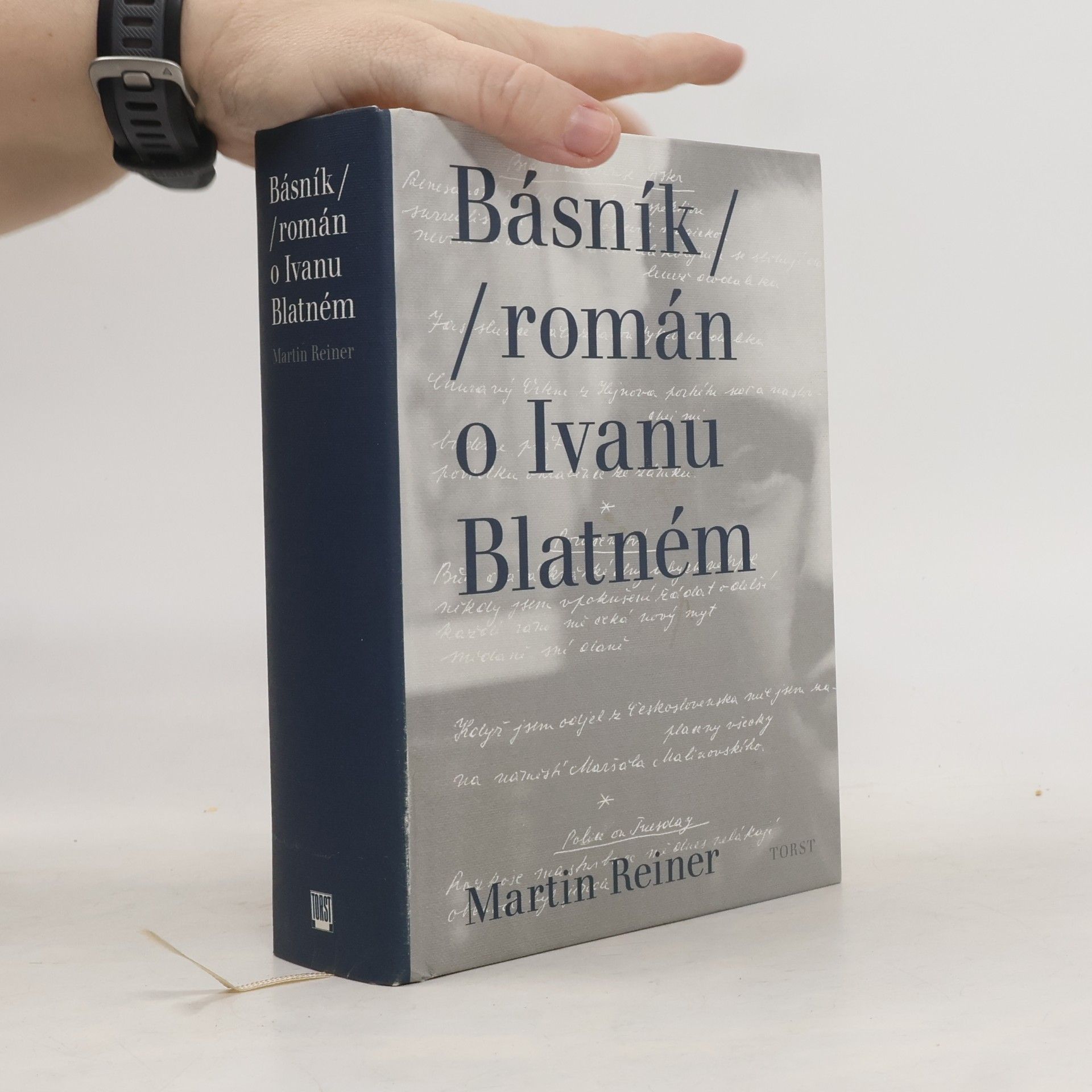 Martin Reiner Básník. Román o Ivanu Blatném