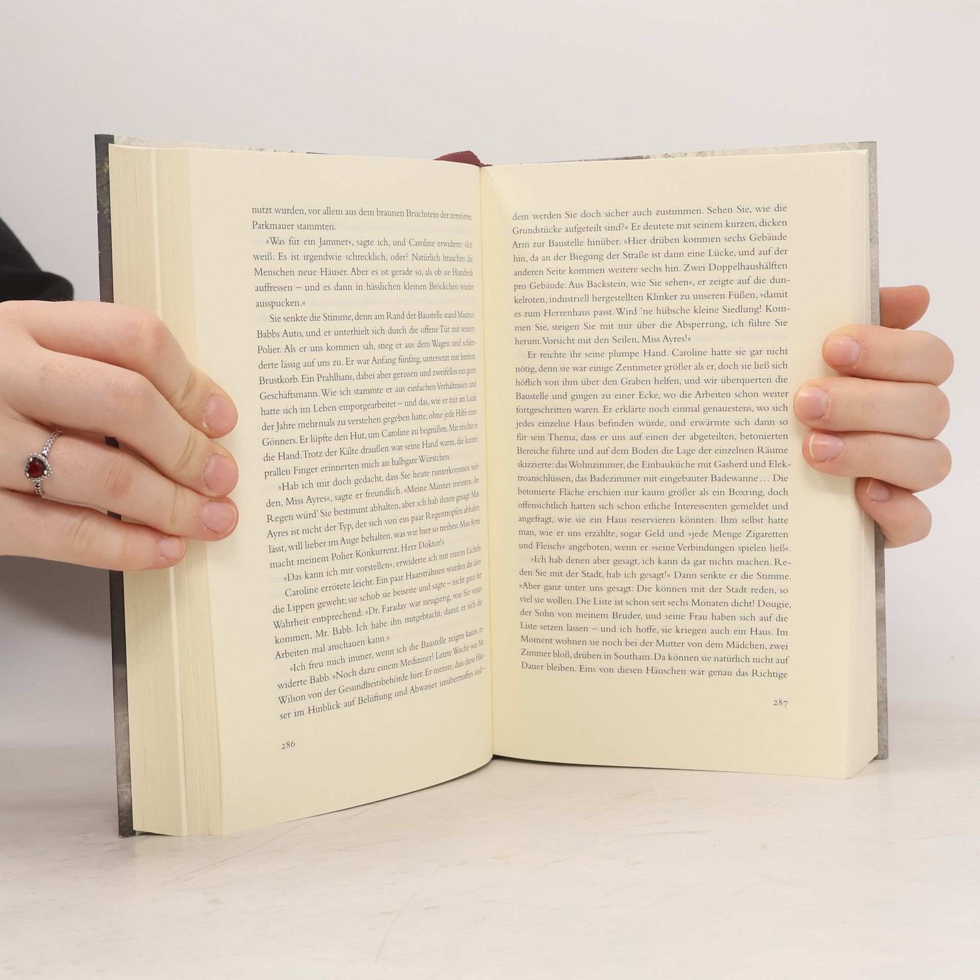 Sarah Waters Der Besucher