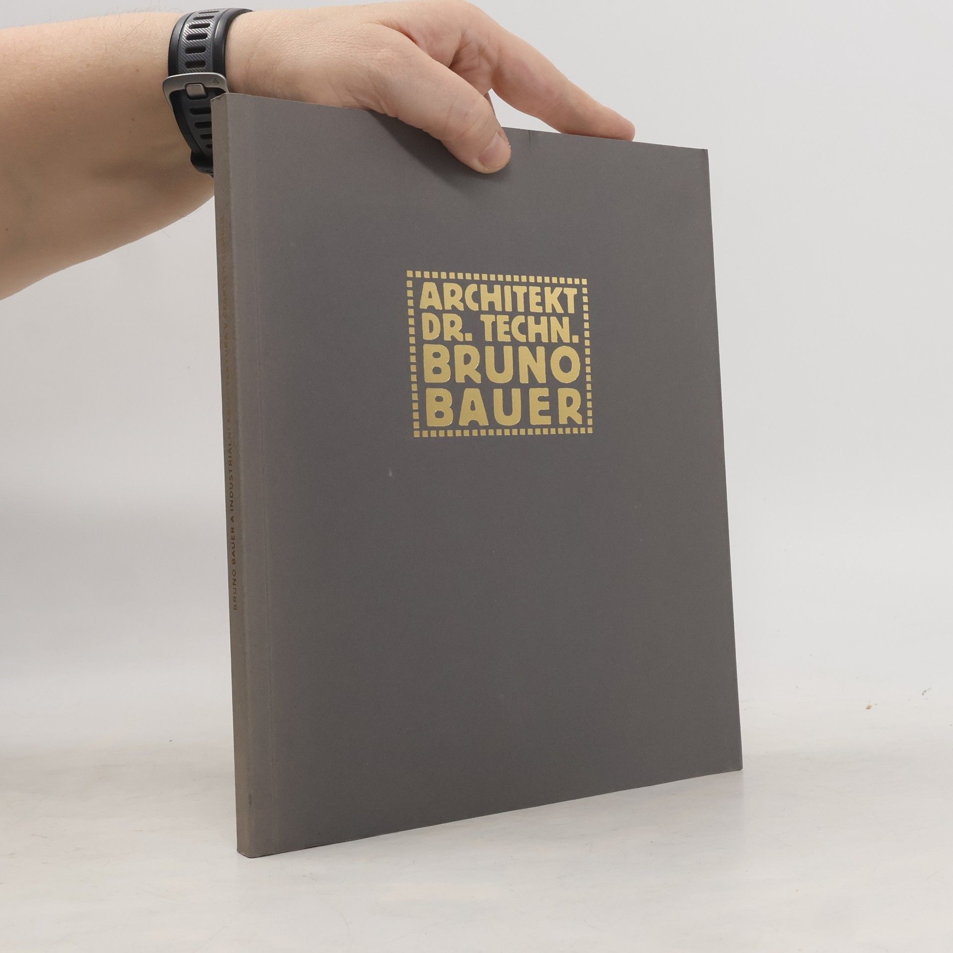 Lukáš Beran Bruno Bauer a industriální architektura v českých zemích