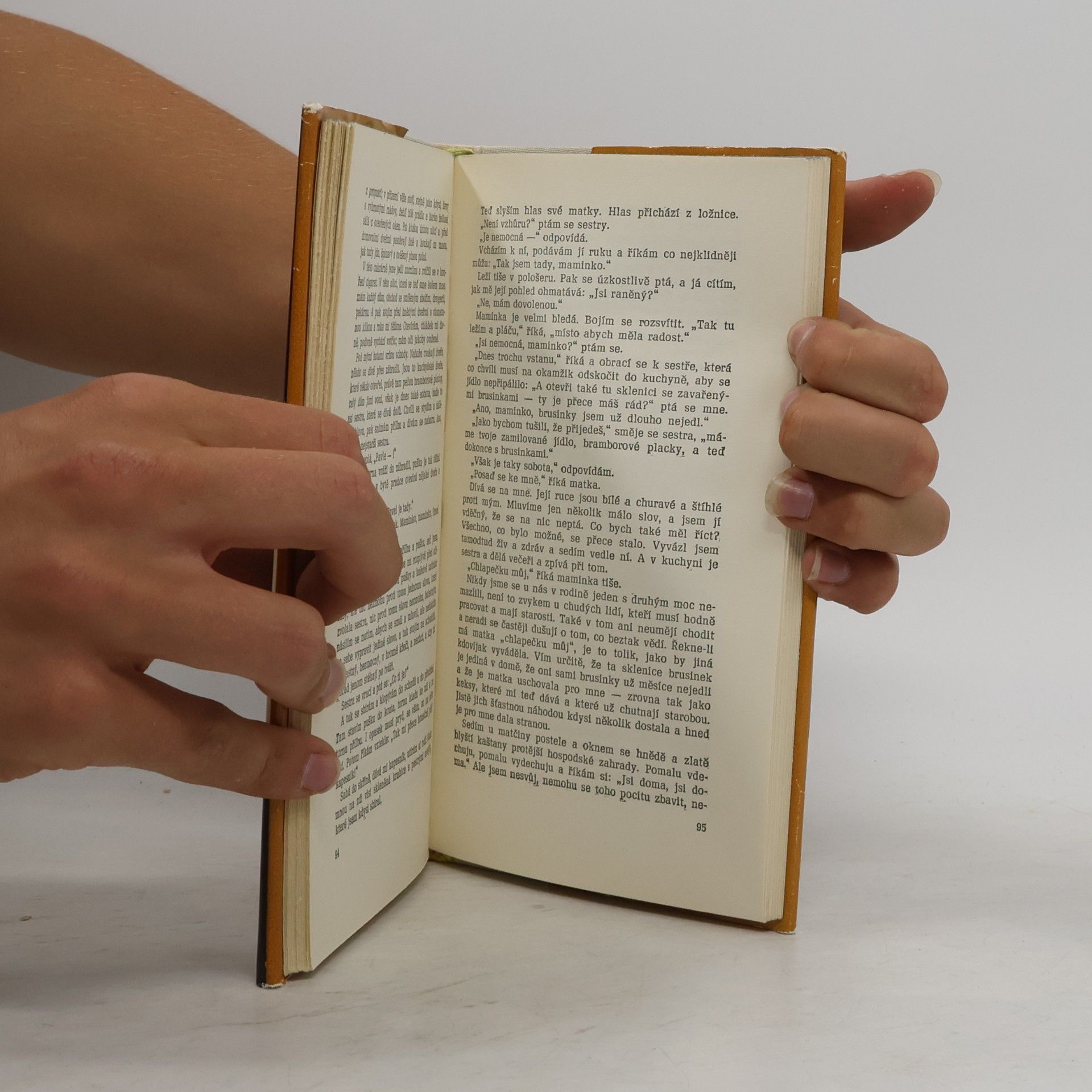 Erich Maria Remarque Na západní frontě klid