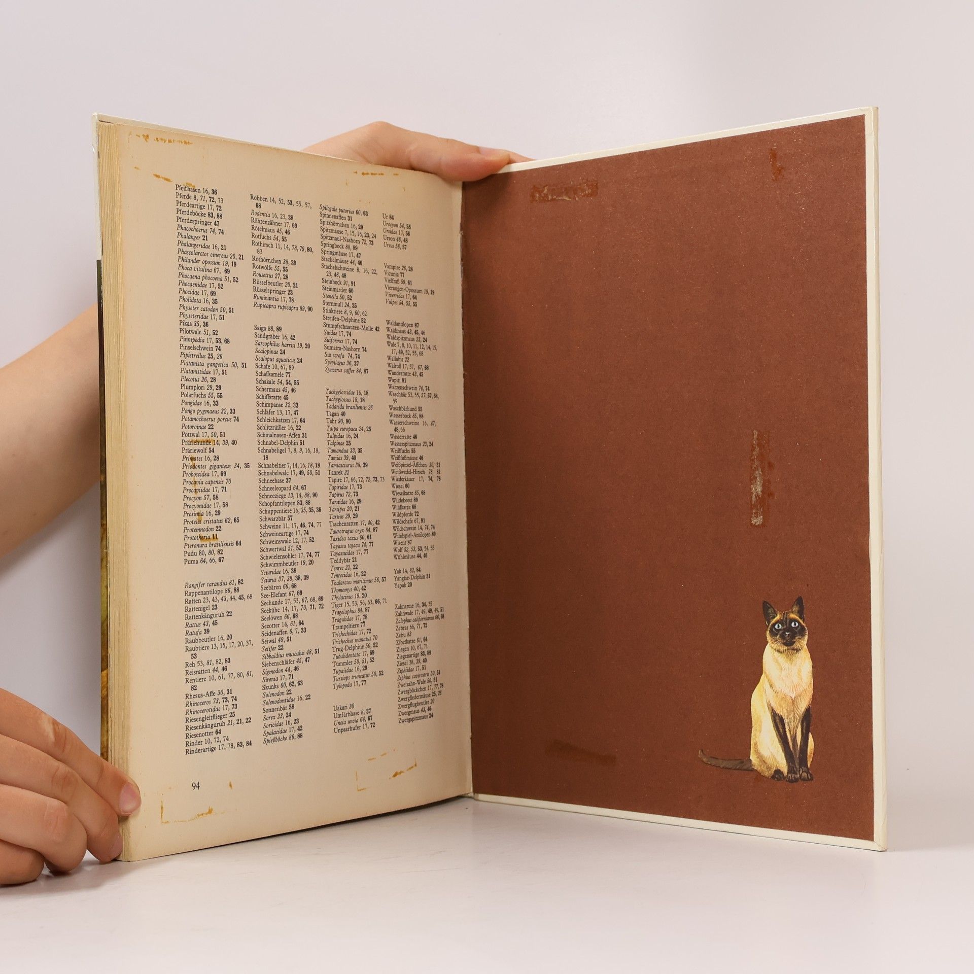 Autores varios Säugetiere