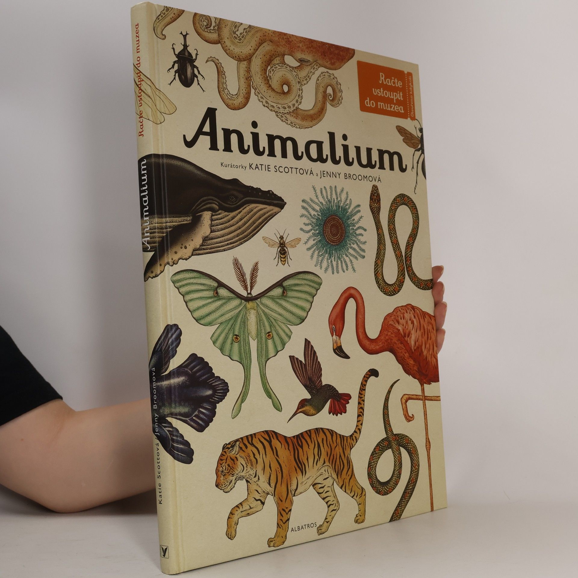Jenny Broom Animalium
