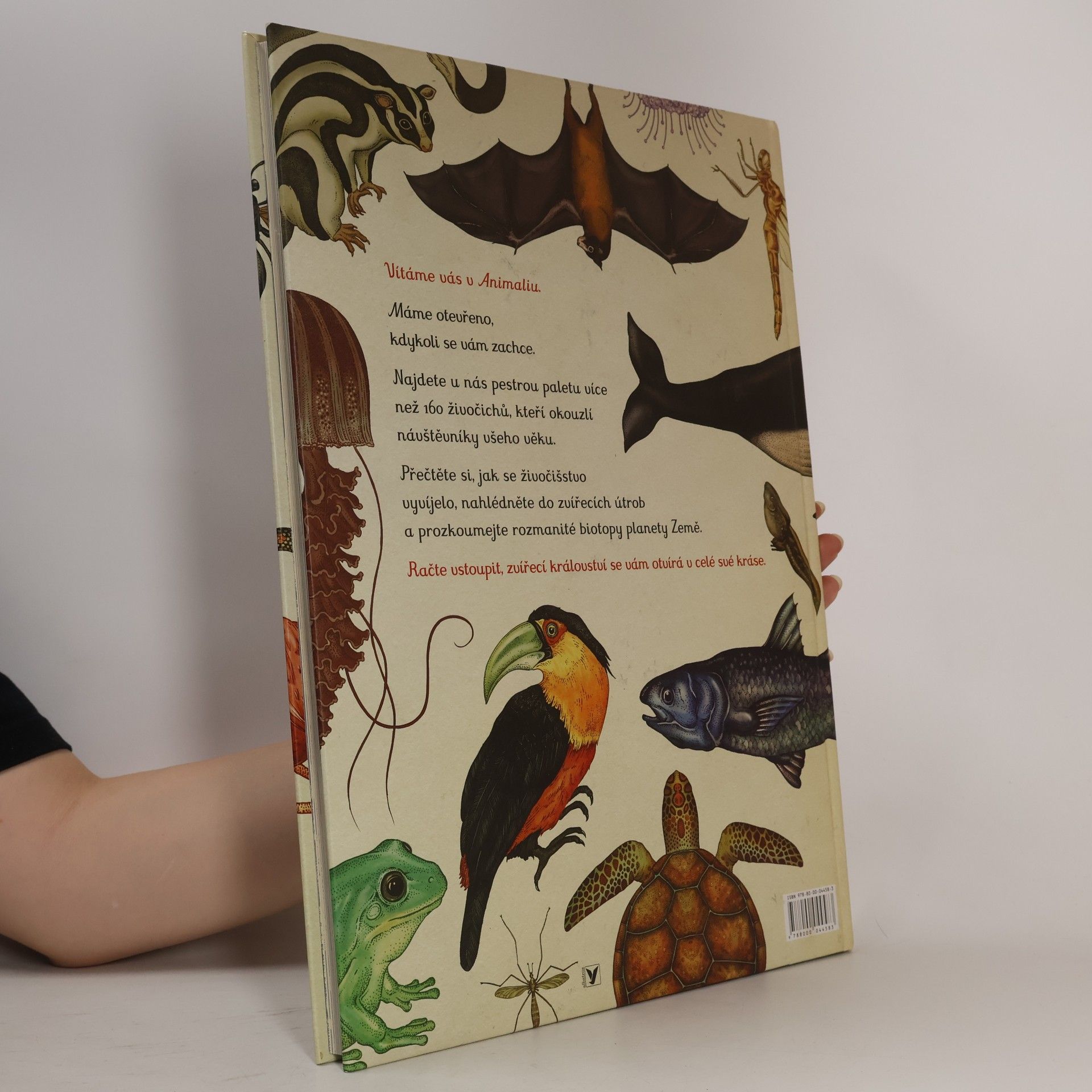 Katie Scott Animalium