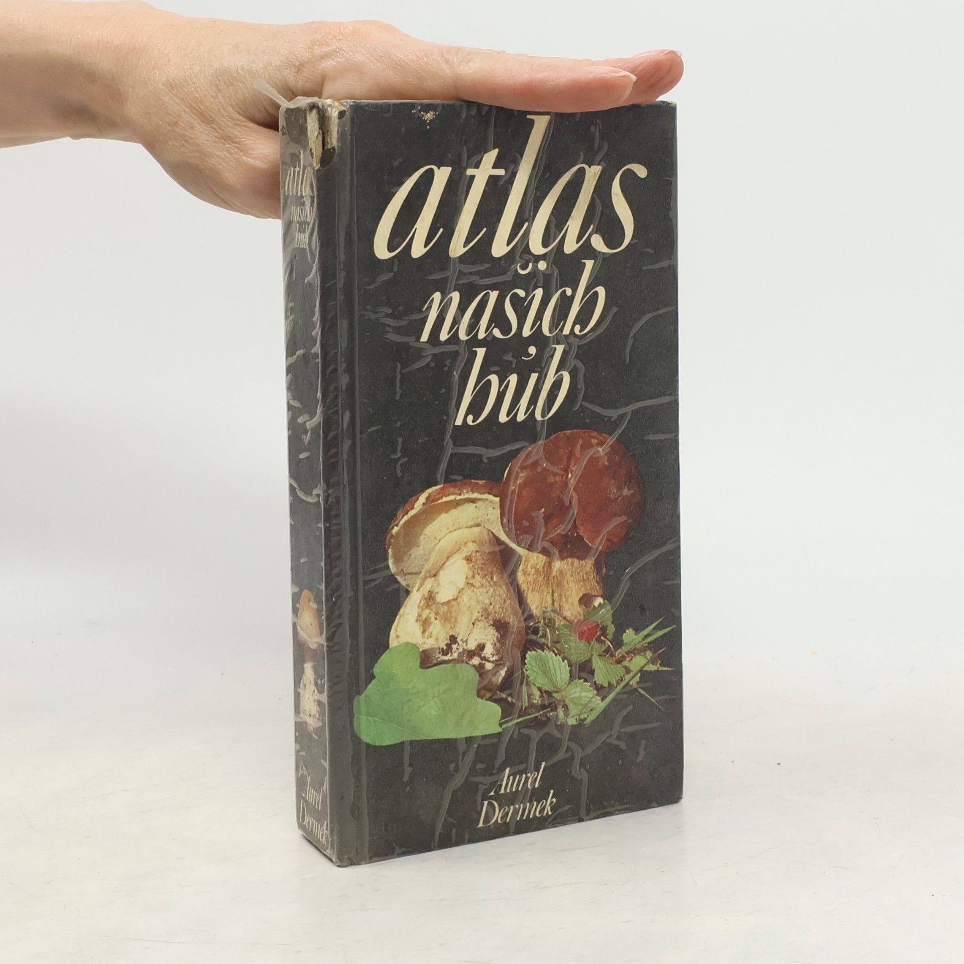 Aurel Dermek Atlas našich húb