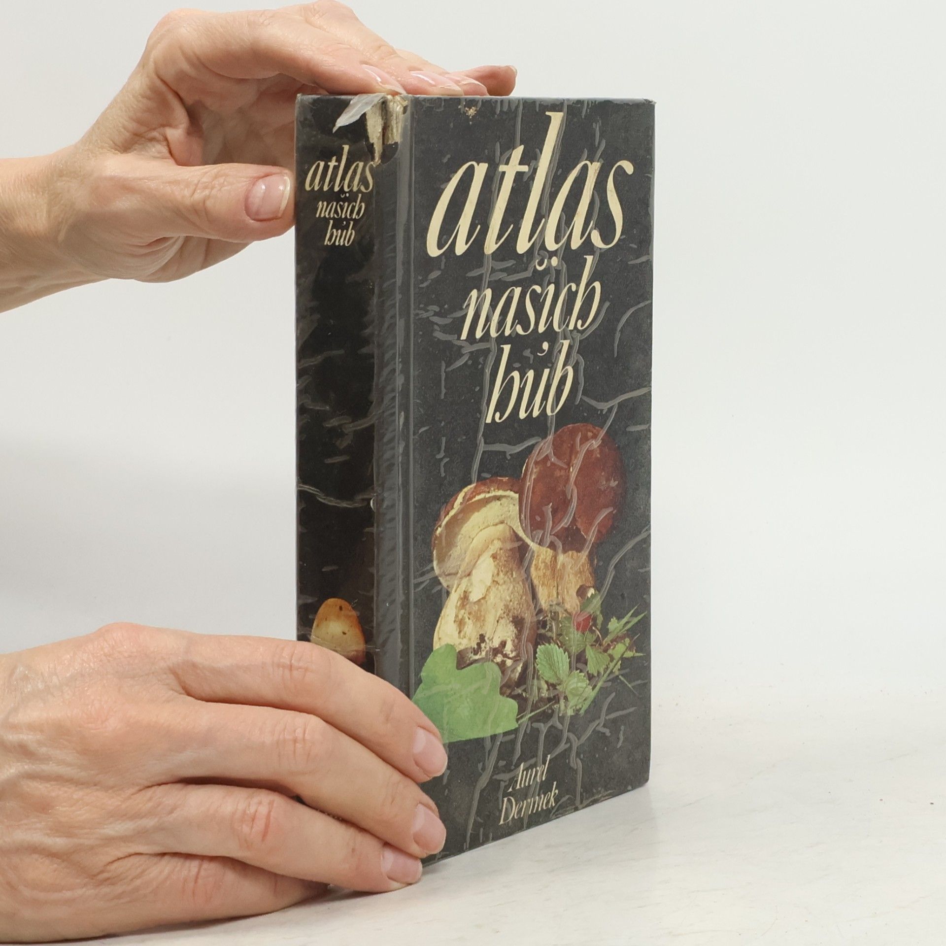 Aurel Dermek Atlas našich húb