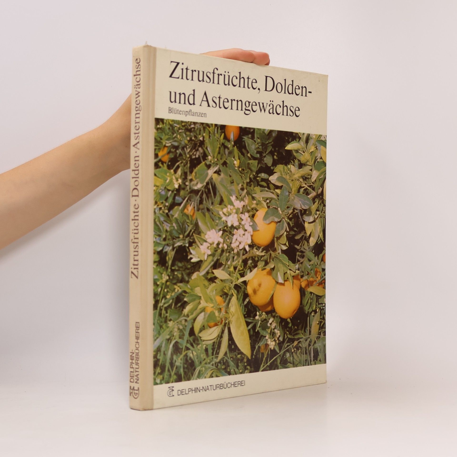 Hans Joachim Conert Zitrusfrüchte, Dolden- und Asterngewächse
