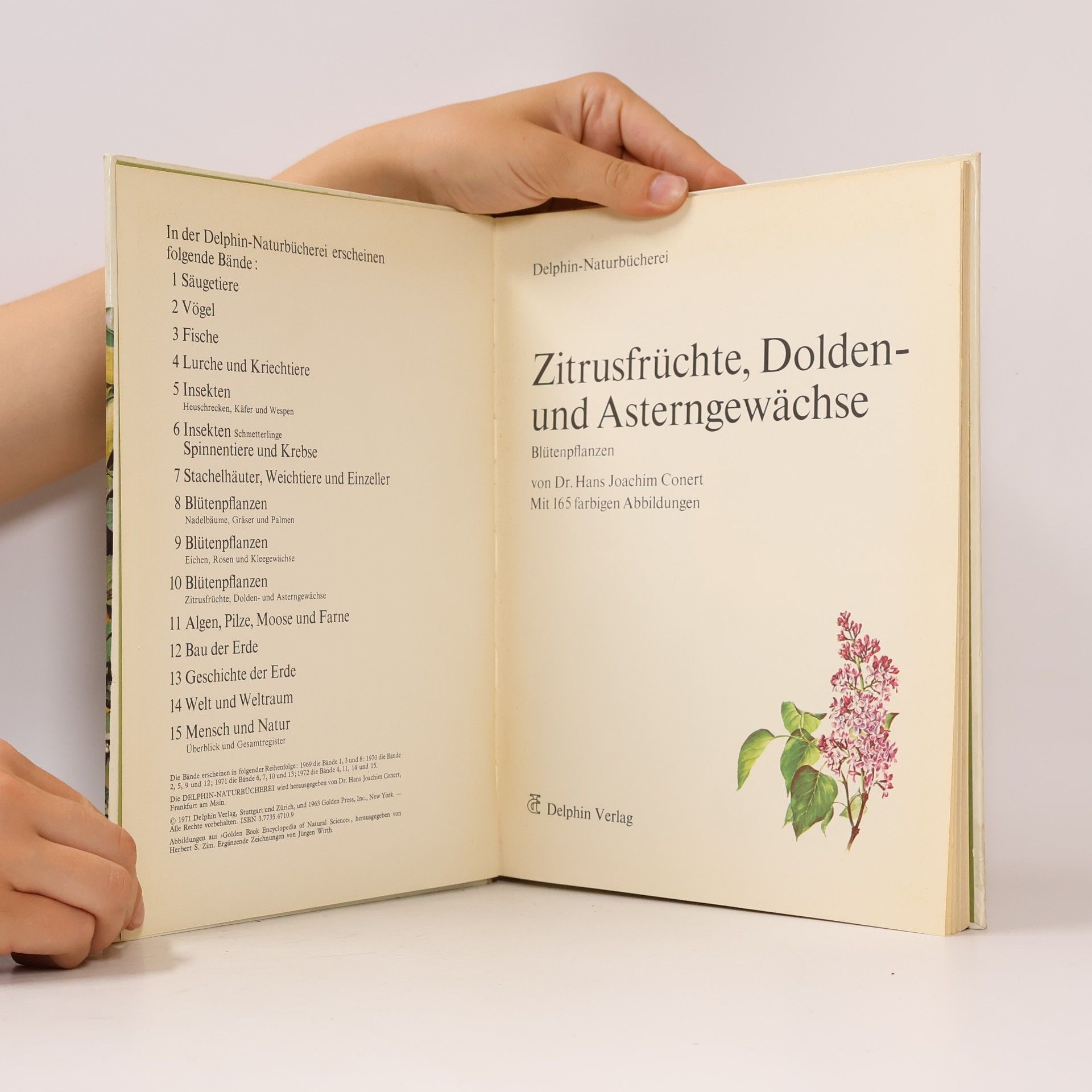 Hans Joachim Conert Zitrusfrüchte, Dolden- und Asterngewächse