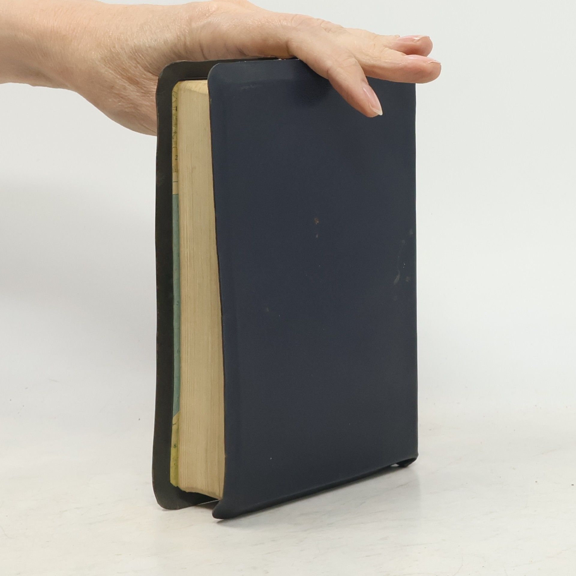 Kolektiv autorů Bible svatá aneb všecka svatá písma Starého i Nového zákona