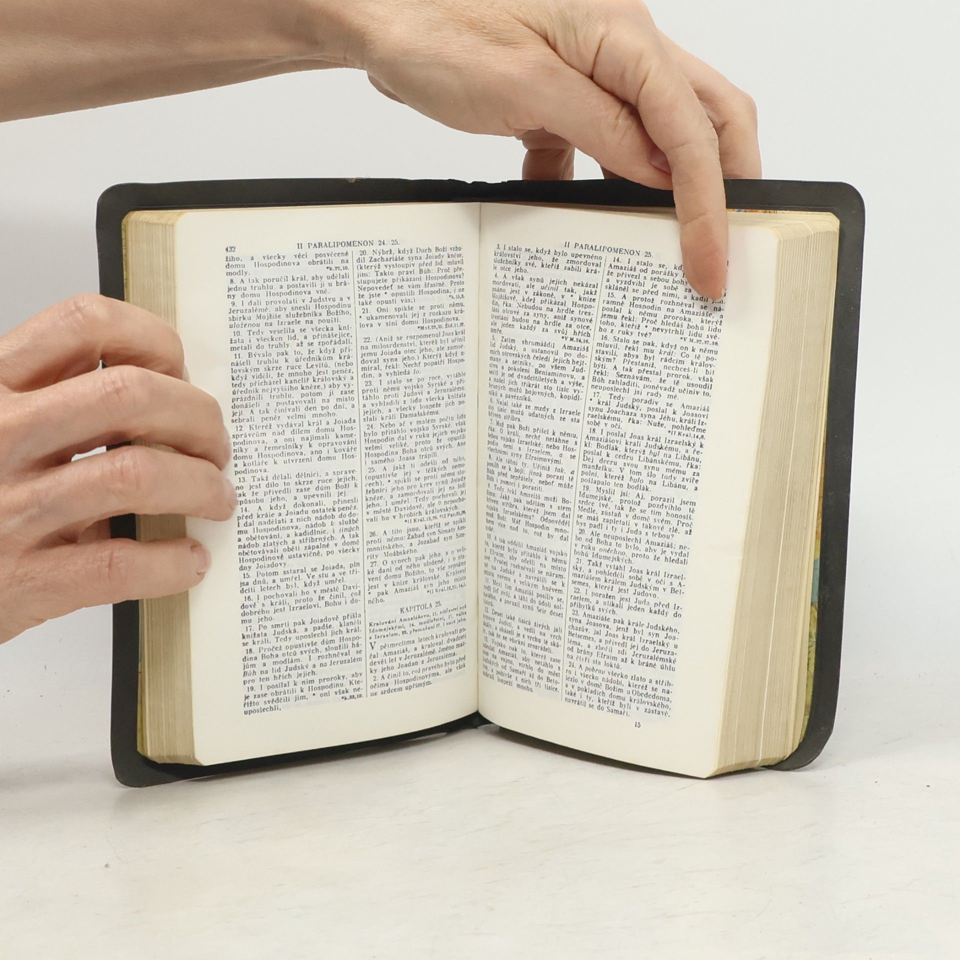 Kolektiv autorů Bible svatá aneb všecka svatá písma Starého i Nového zákona