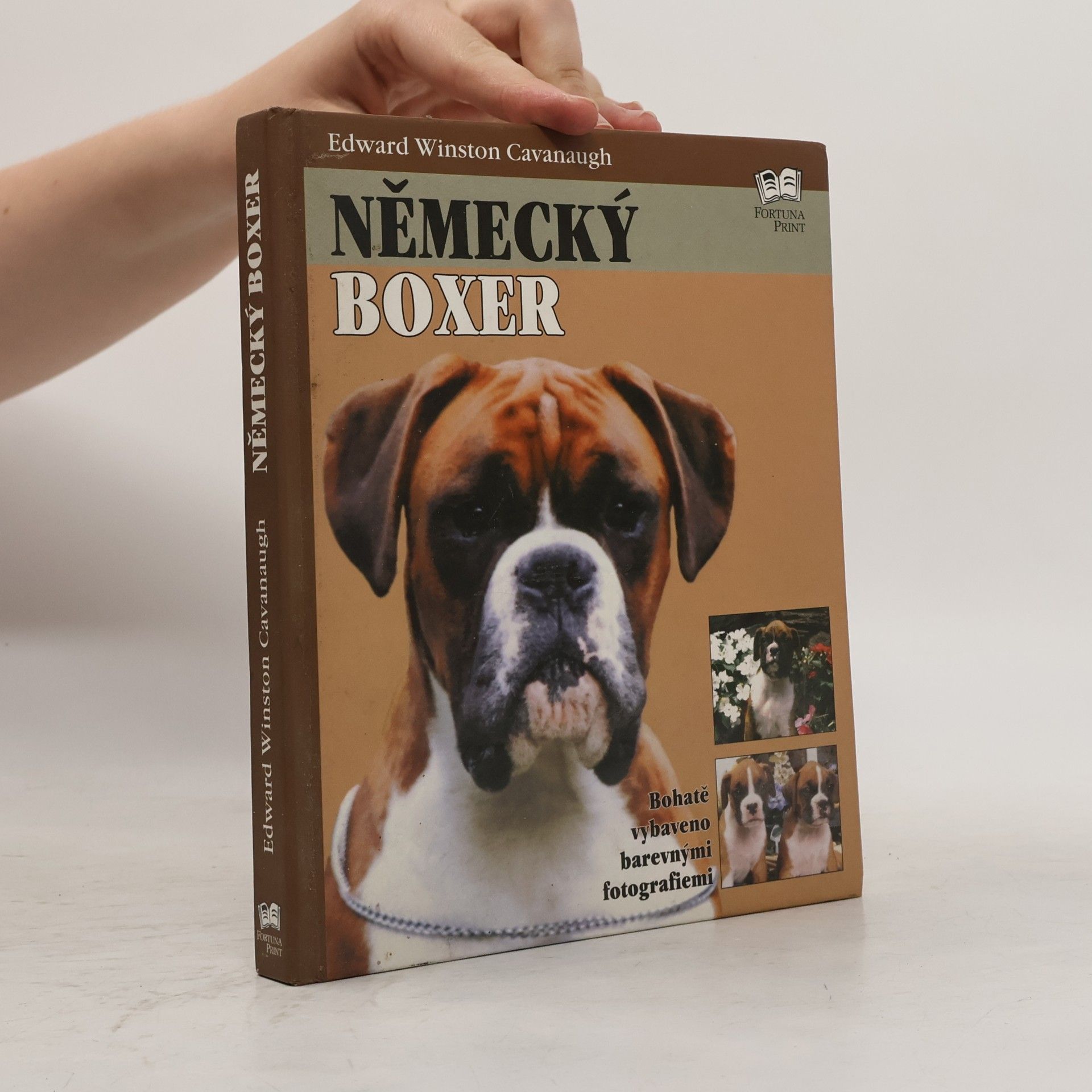 Edward Winston Cavanaugh Německý boxer