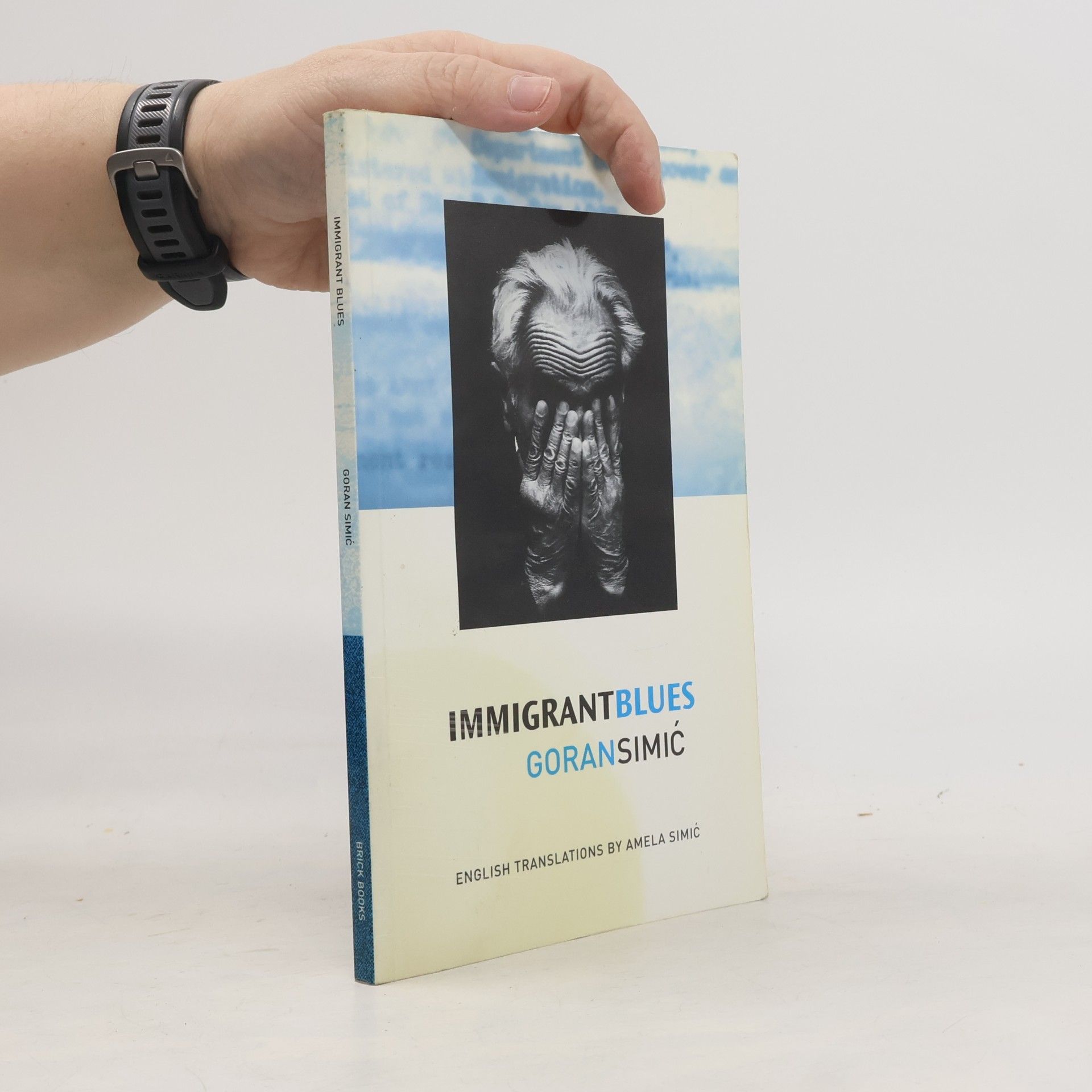 Goran Simić Immigrant Blues