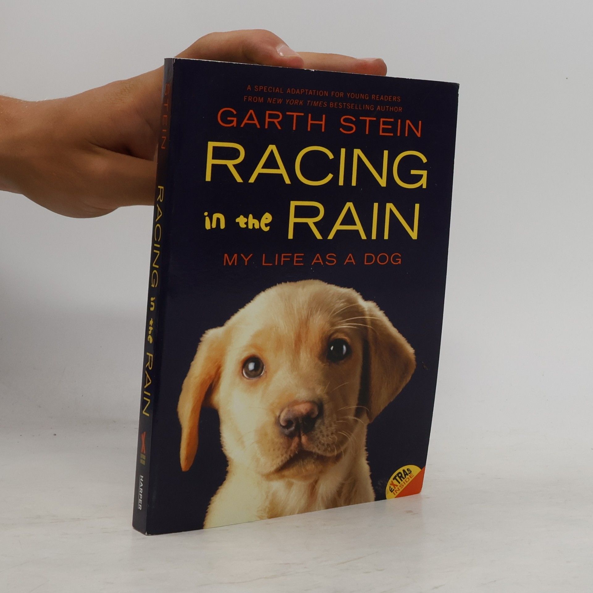 Garth Stein Racing in the Rain