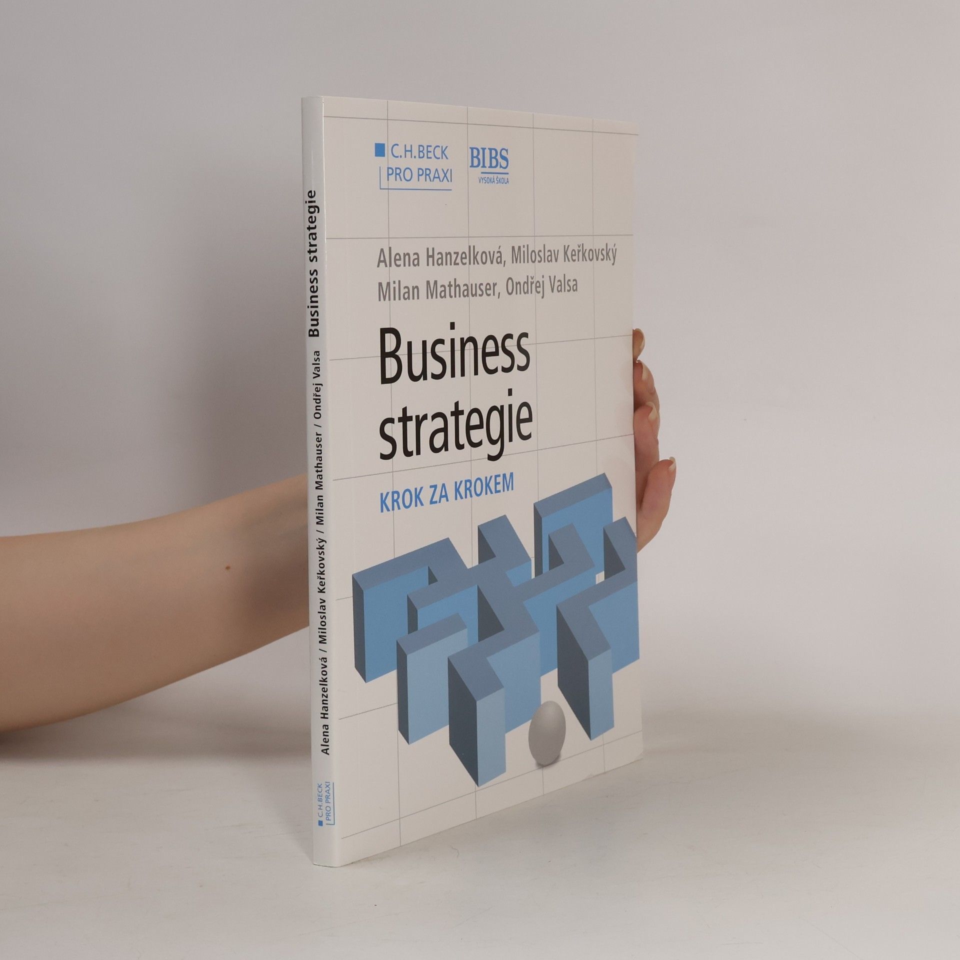Ondřej Valsa Business strategie