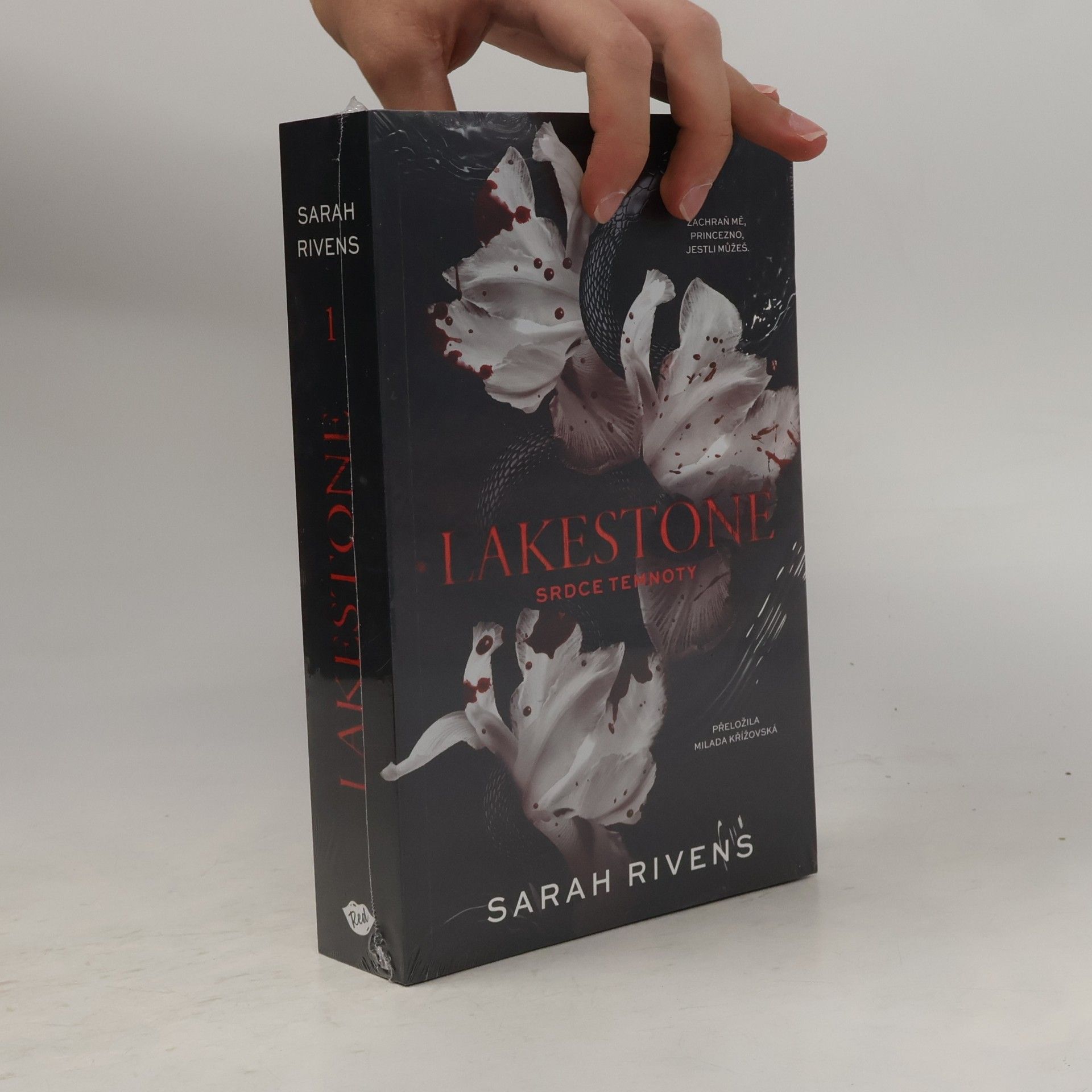Sarah Rivens Lakestone: Srdce temnoty