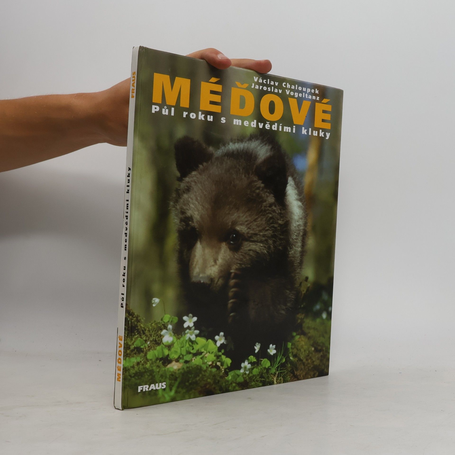 Václav Chaloupek Méďové. Půl roku s medvědími kluky