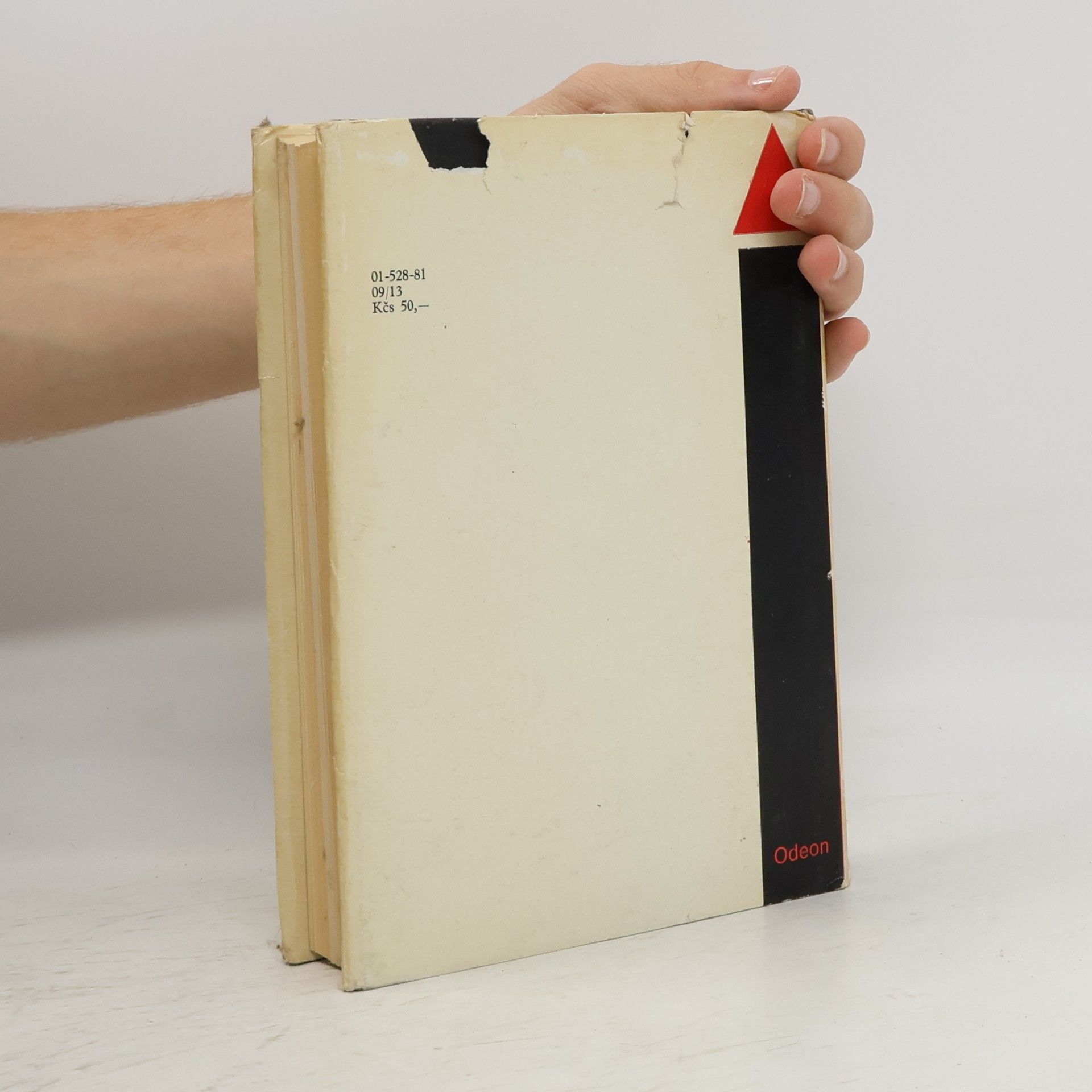 Josef Pechar Programy české architektury