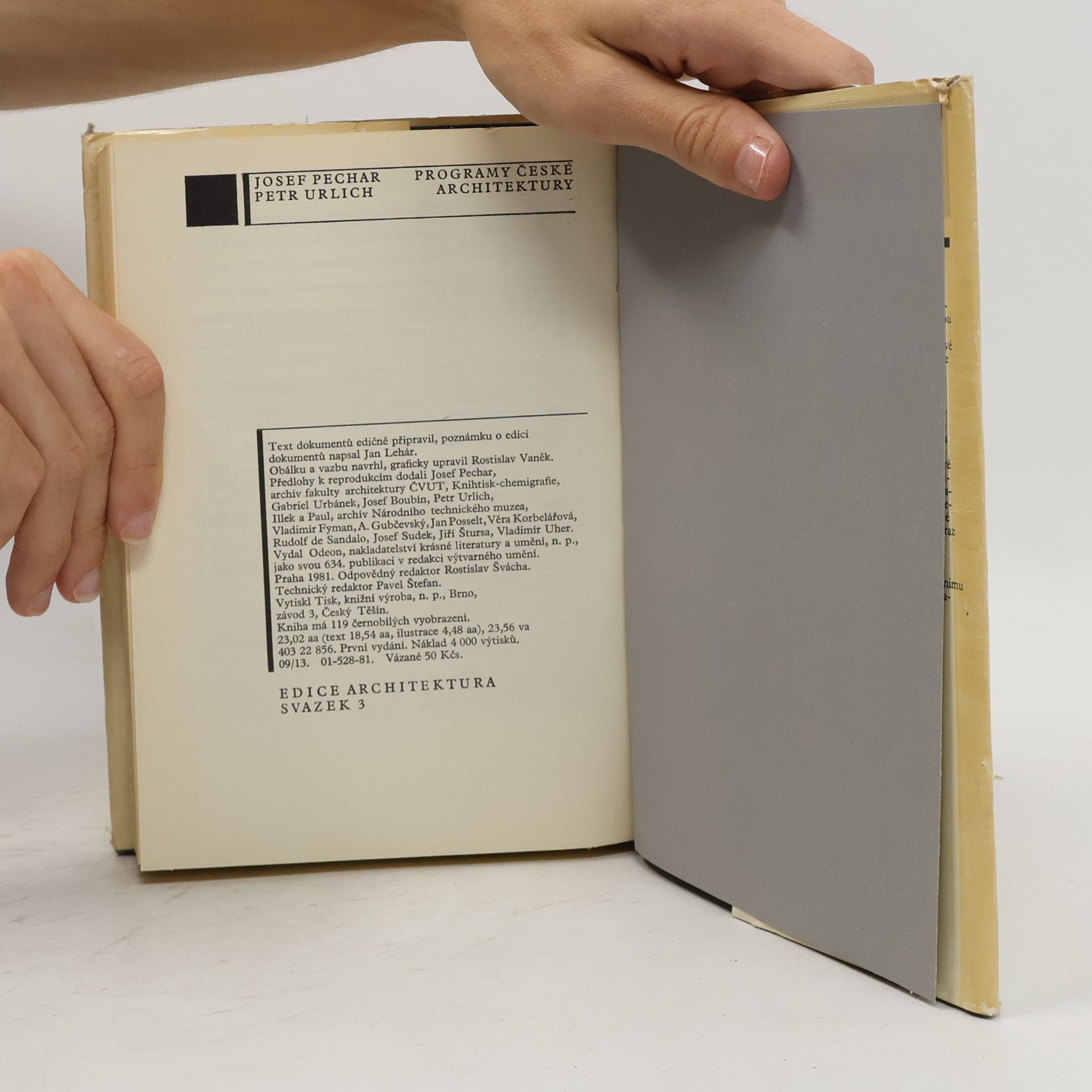 Josef Pechar Programy české architektury