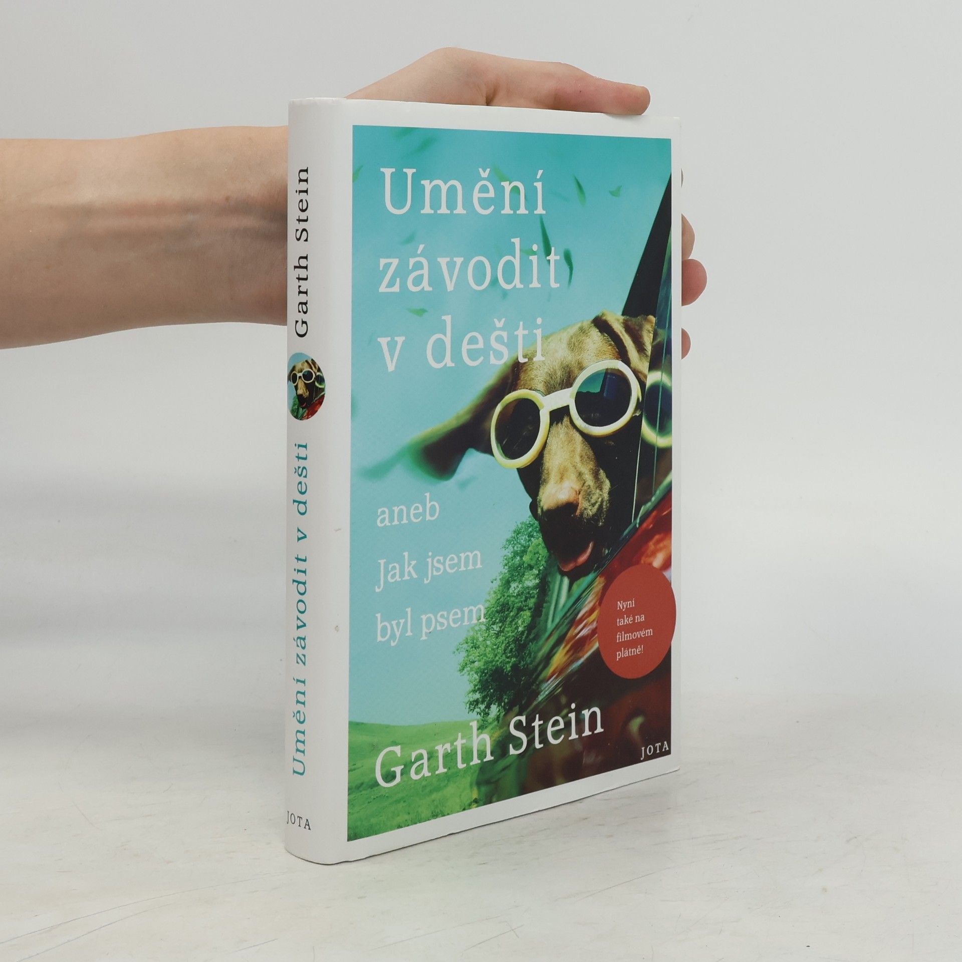 Garth Stein Umění závodit v dešti