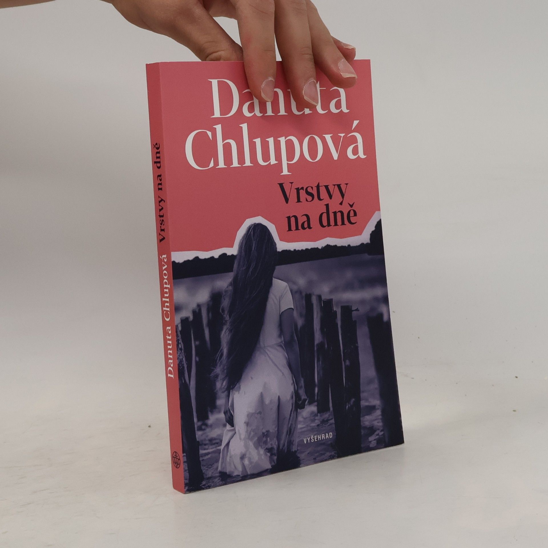Danuta Chlupová Vrstvy na dně