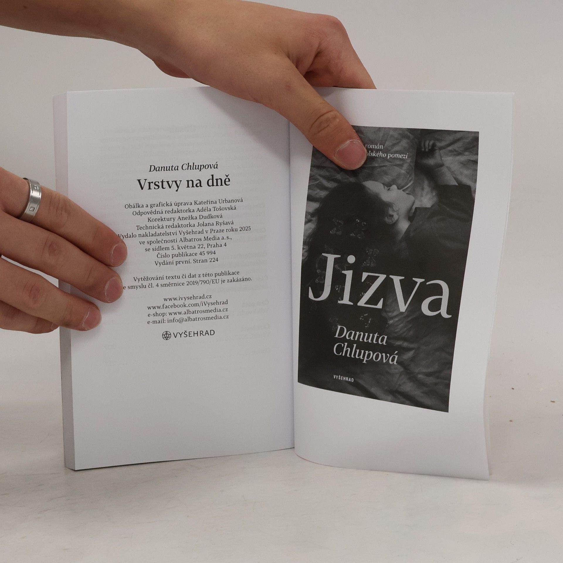Danuta Chlupová Vrstvy na dně