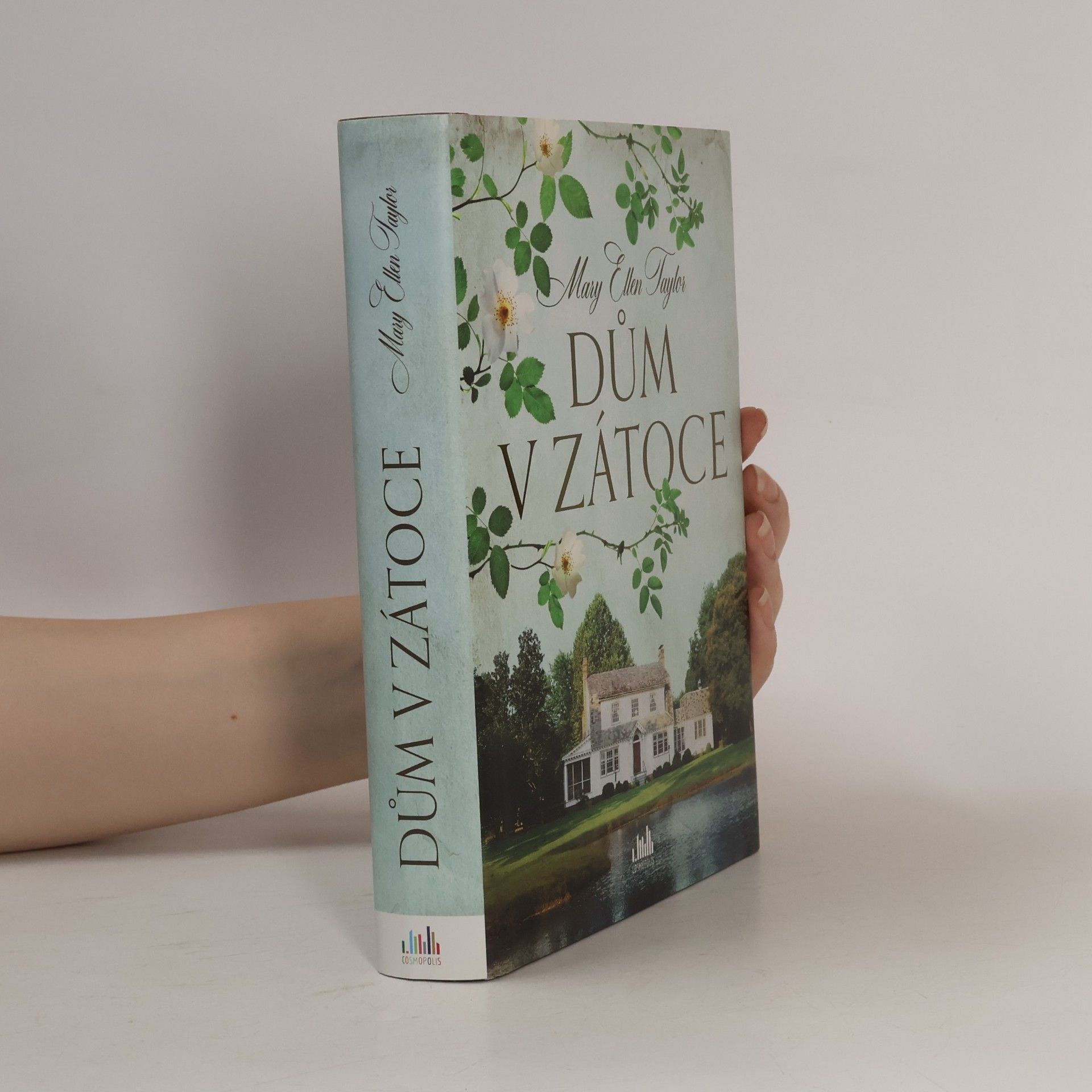 Mary Ellen Taylor Dům v zátoce