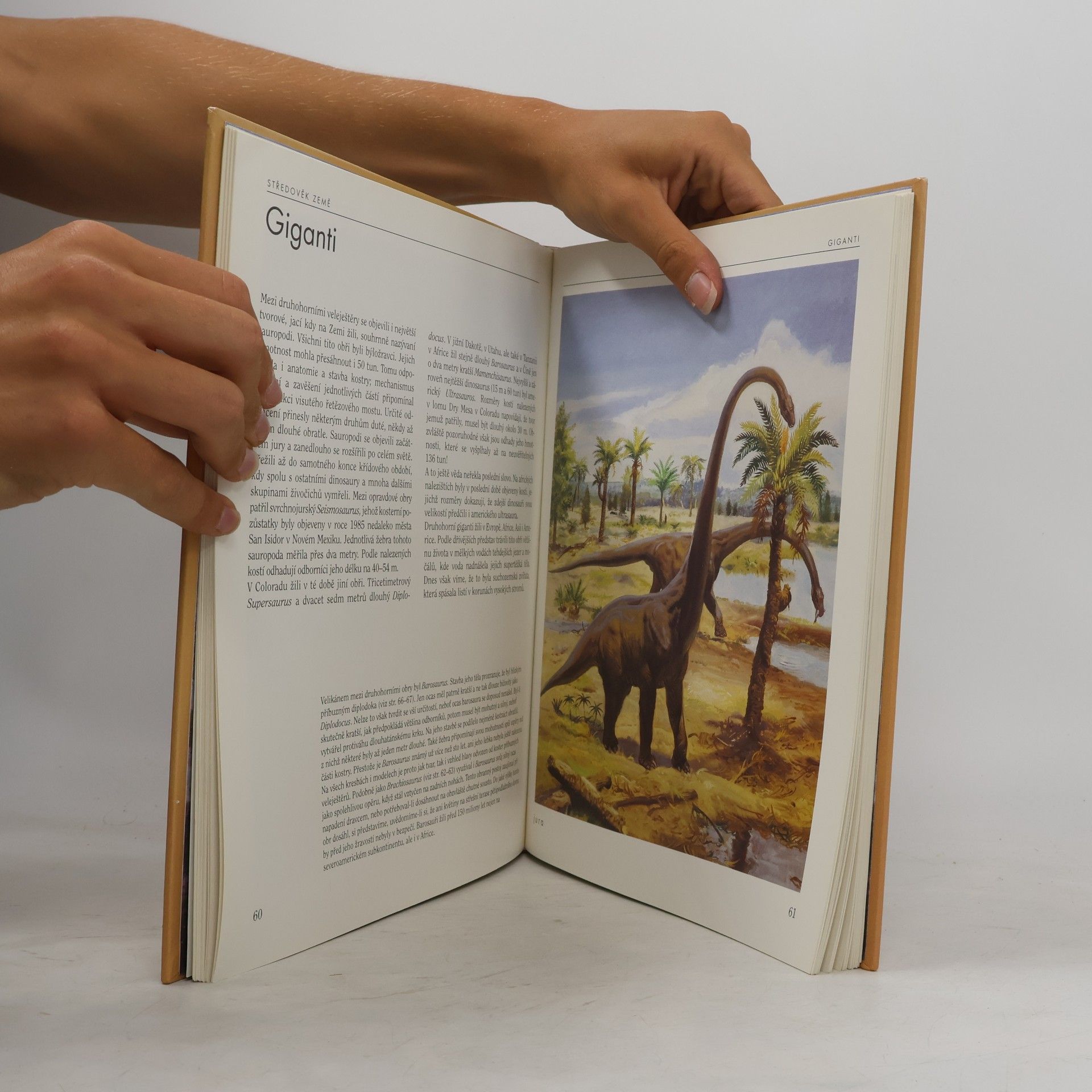 Bořivoj Záruba Cesta do pravěku