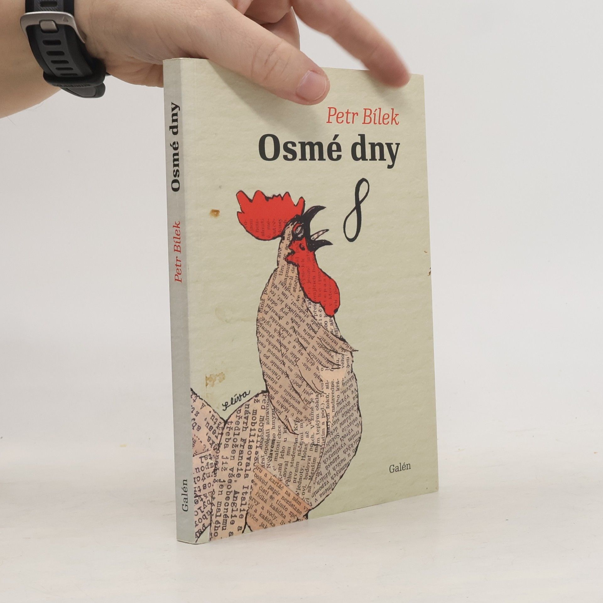 Petr Bílek Osmé dny