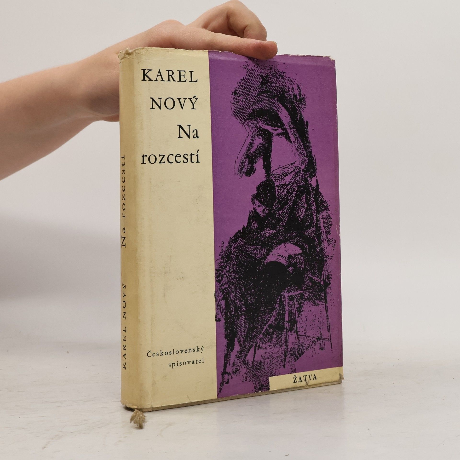 Karel Nový Na rozcestí