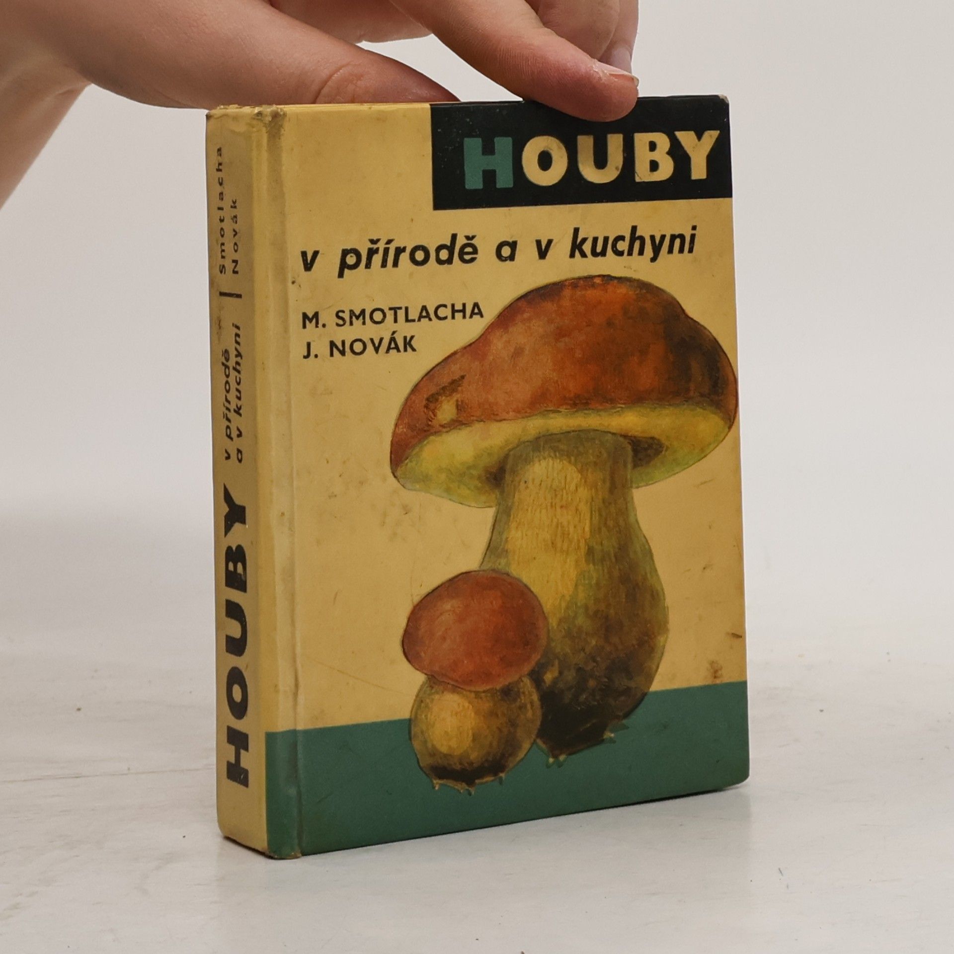 Miroslav Smotlacha Houby v přírodě a v kuchyni