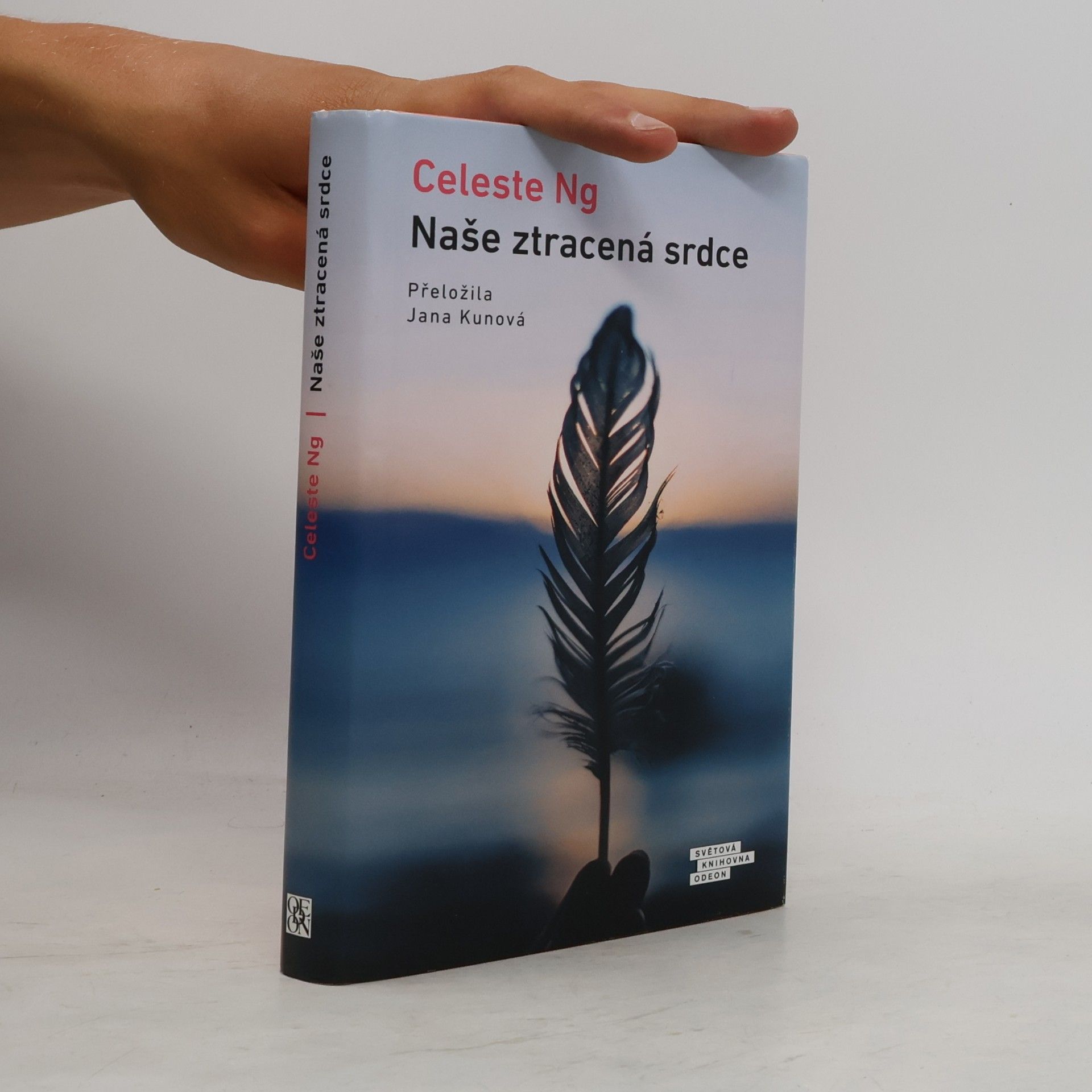 Celeste Ng Naše ztracená srdce