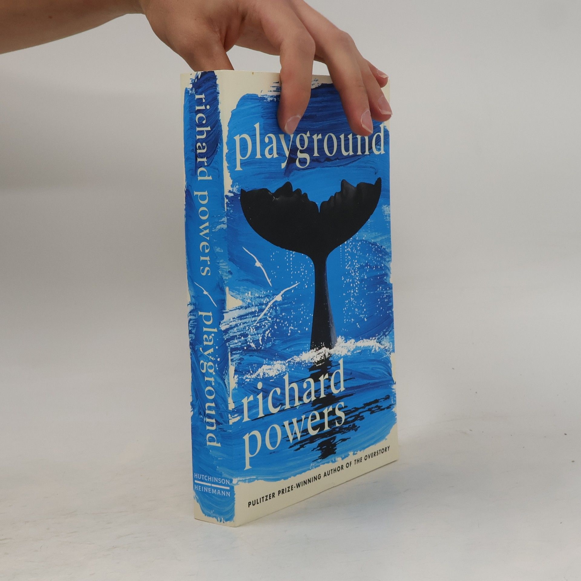 Richard Powers Playground
