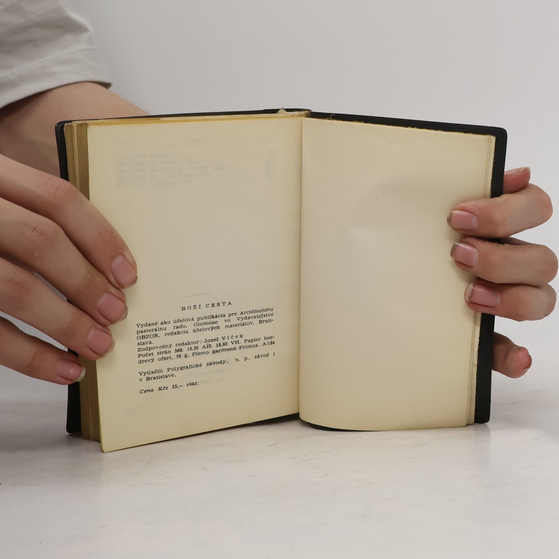 Kolektiv autorů Boží cesta
