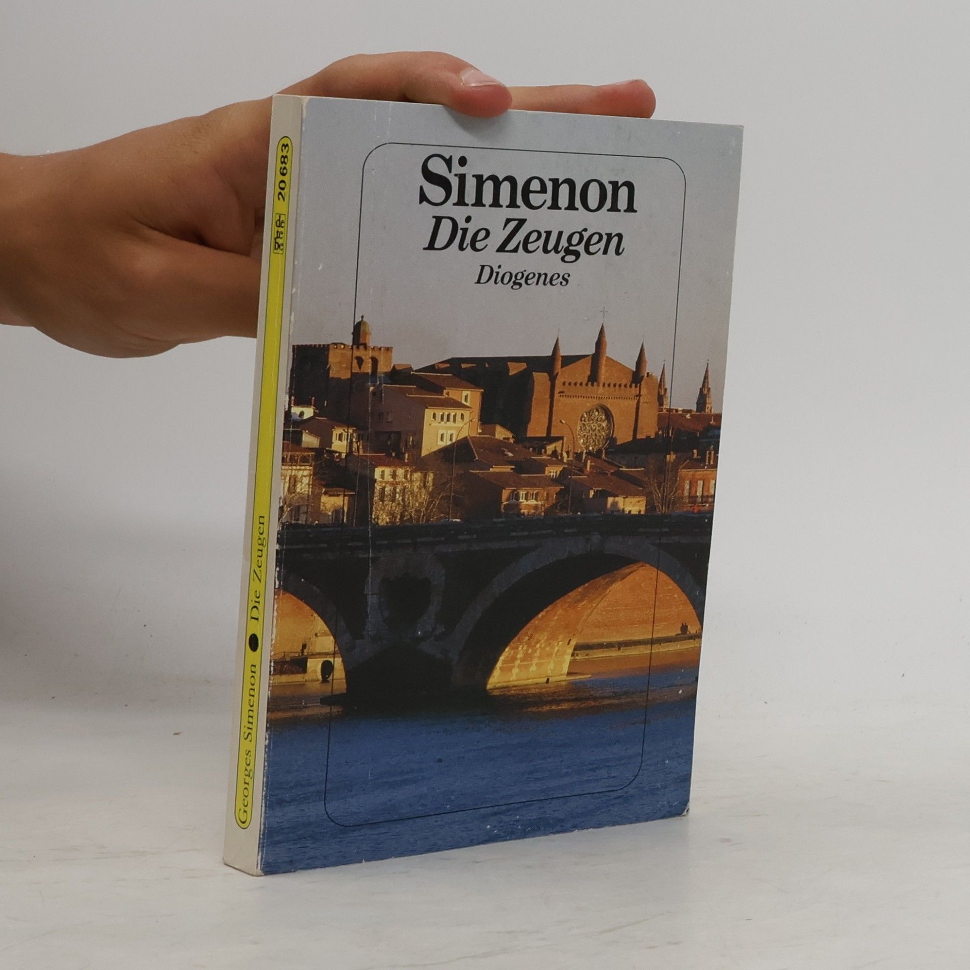 Georges Simenon Die Zeugen