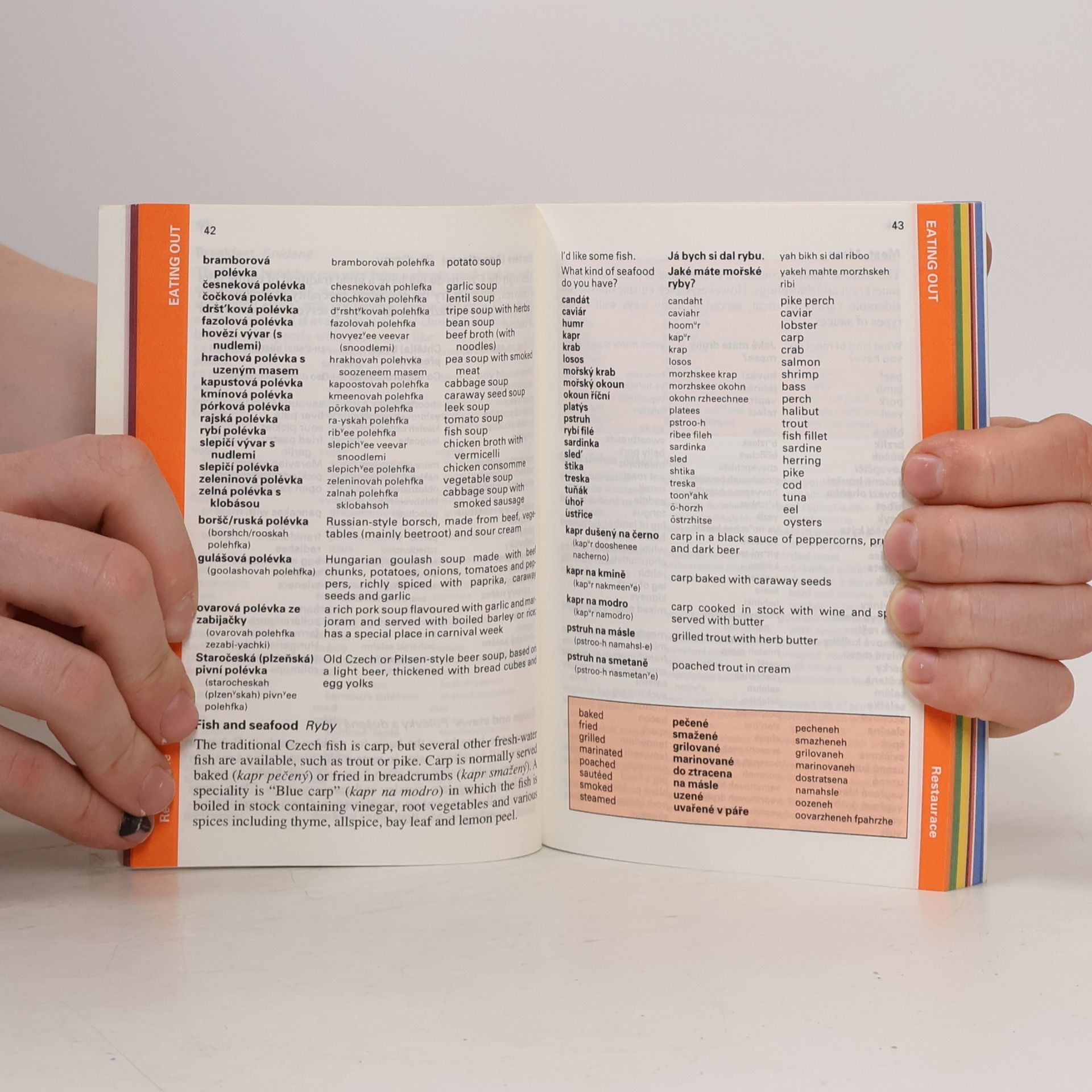 Various authors Czech phrase book & dictionary