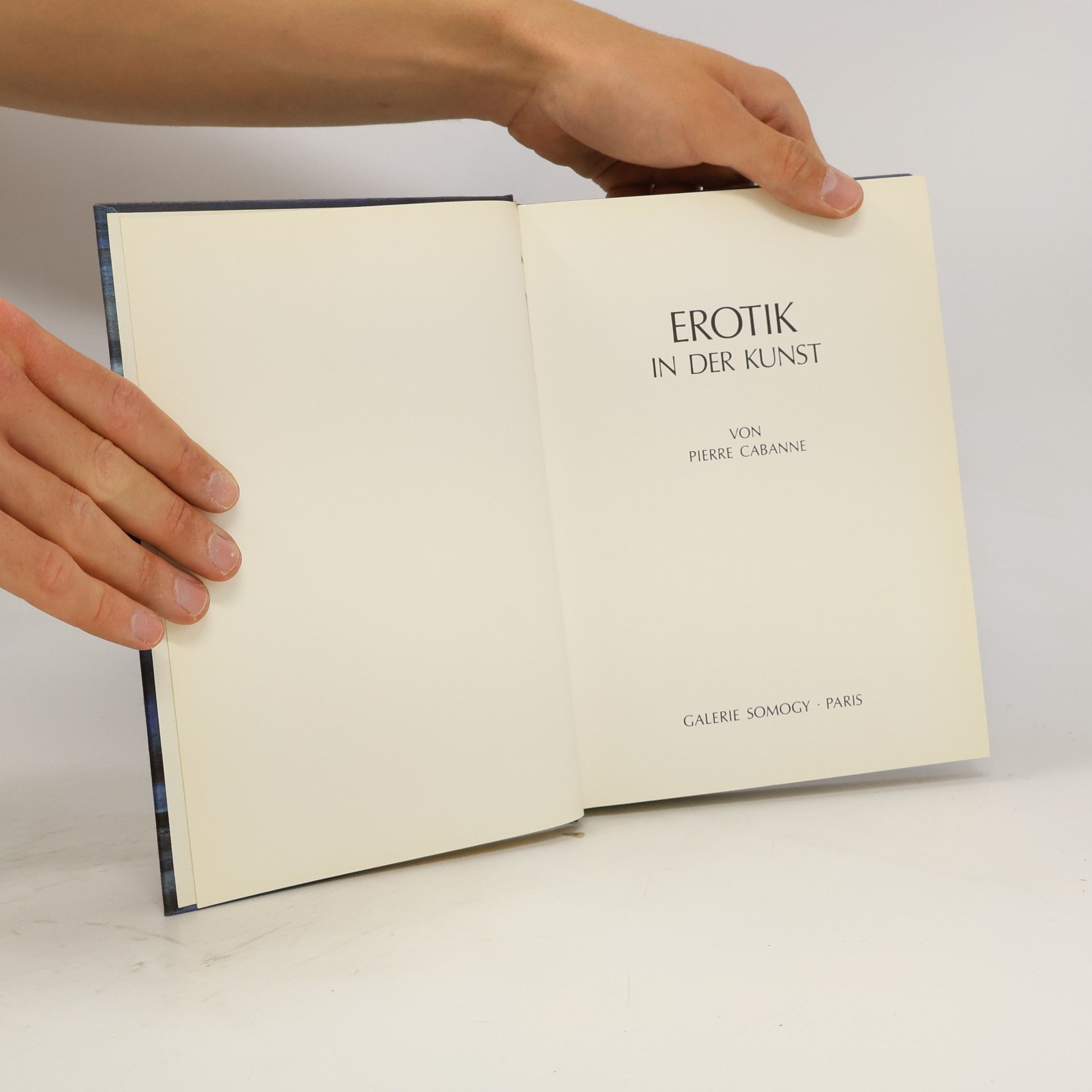 Autorenkollektiv Erotik in der Kunst