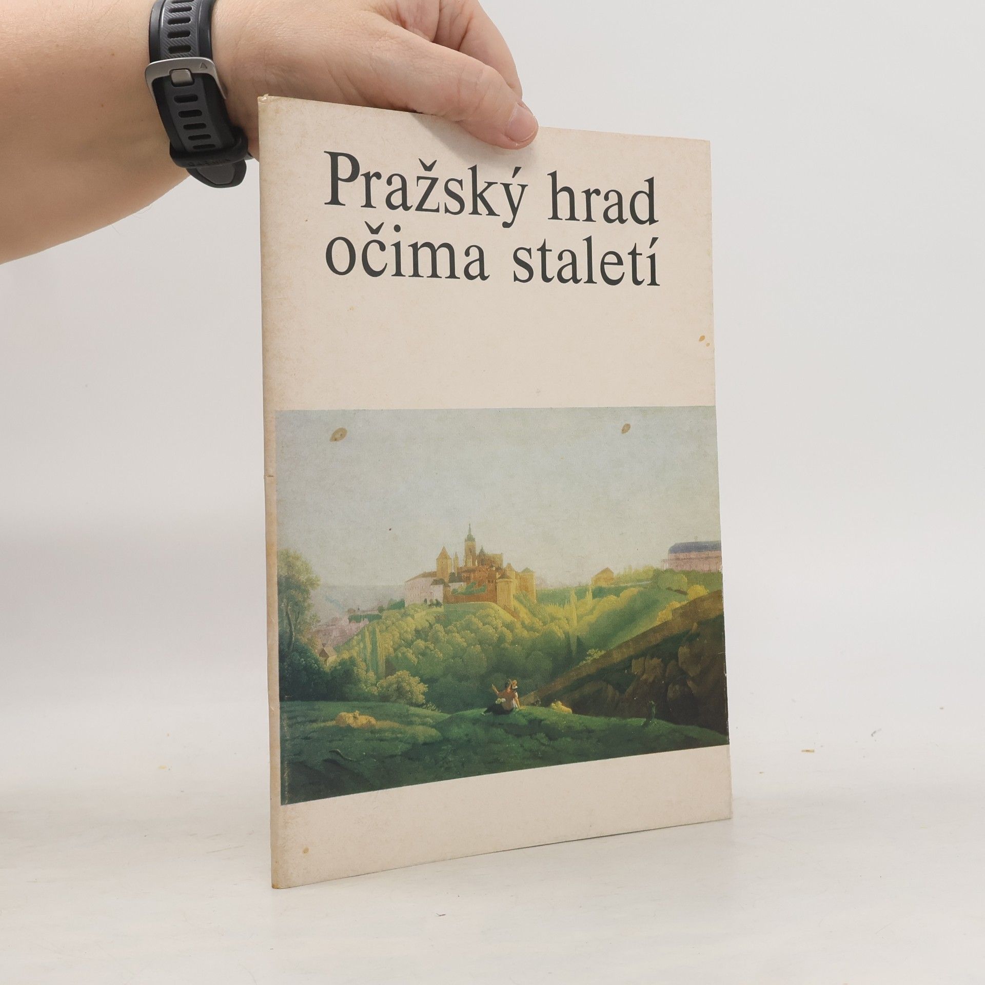 František Šalda Pražský hrad očima staletí