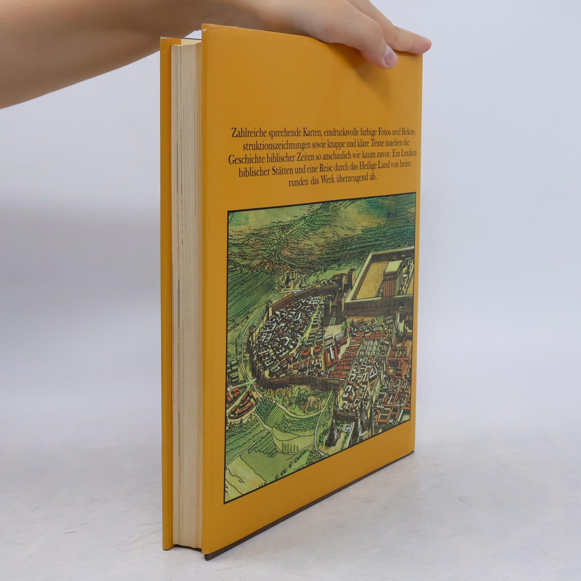 Harry Thomas Frank Biblische Stätten einst und heute